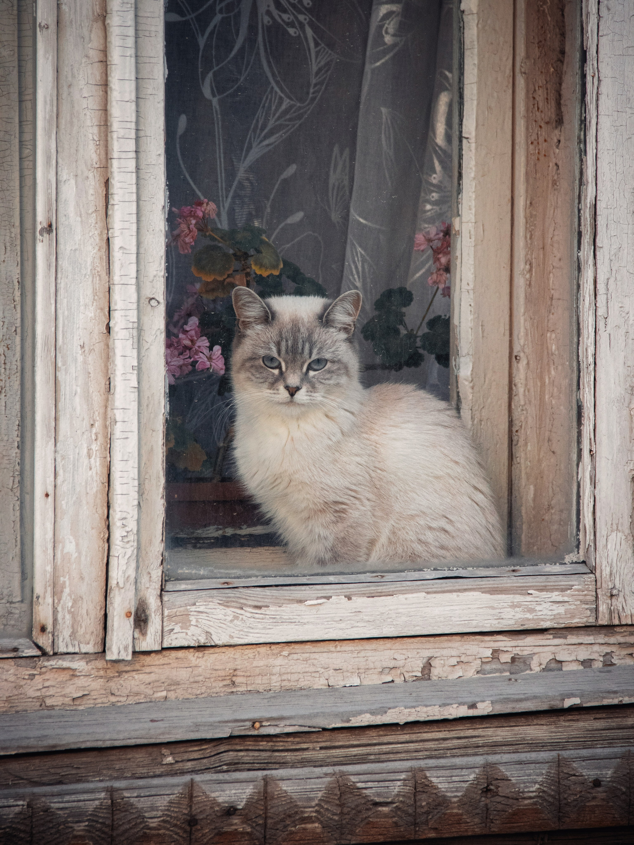 Уличные модели. С любовью, фотохудожник