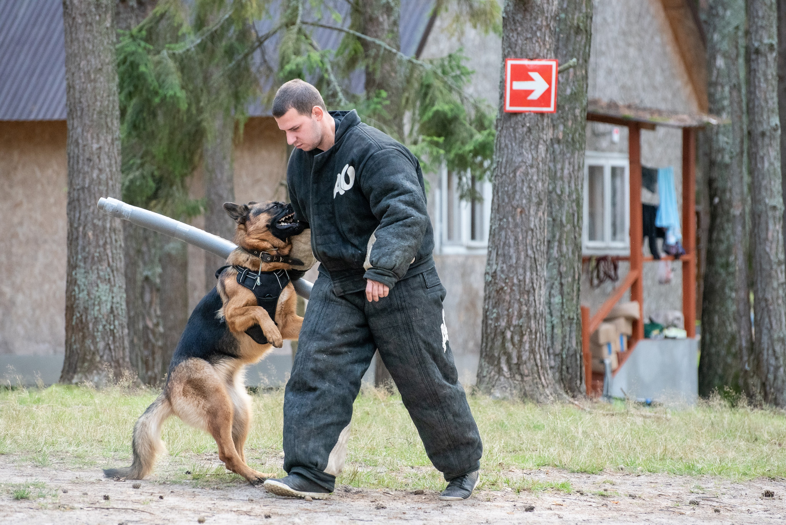 Всплеск эмоций 2023 Кинологический фестиваль. Фотограф Макс Огурцов в Нижнем Новгороде