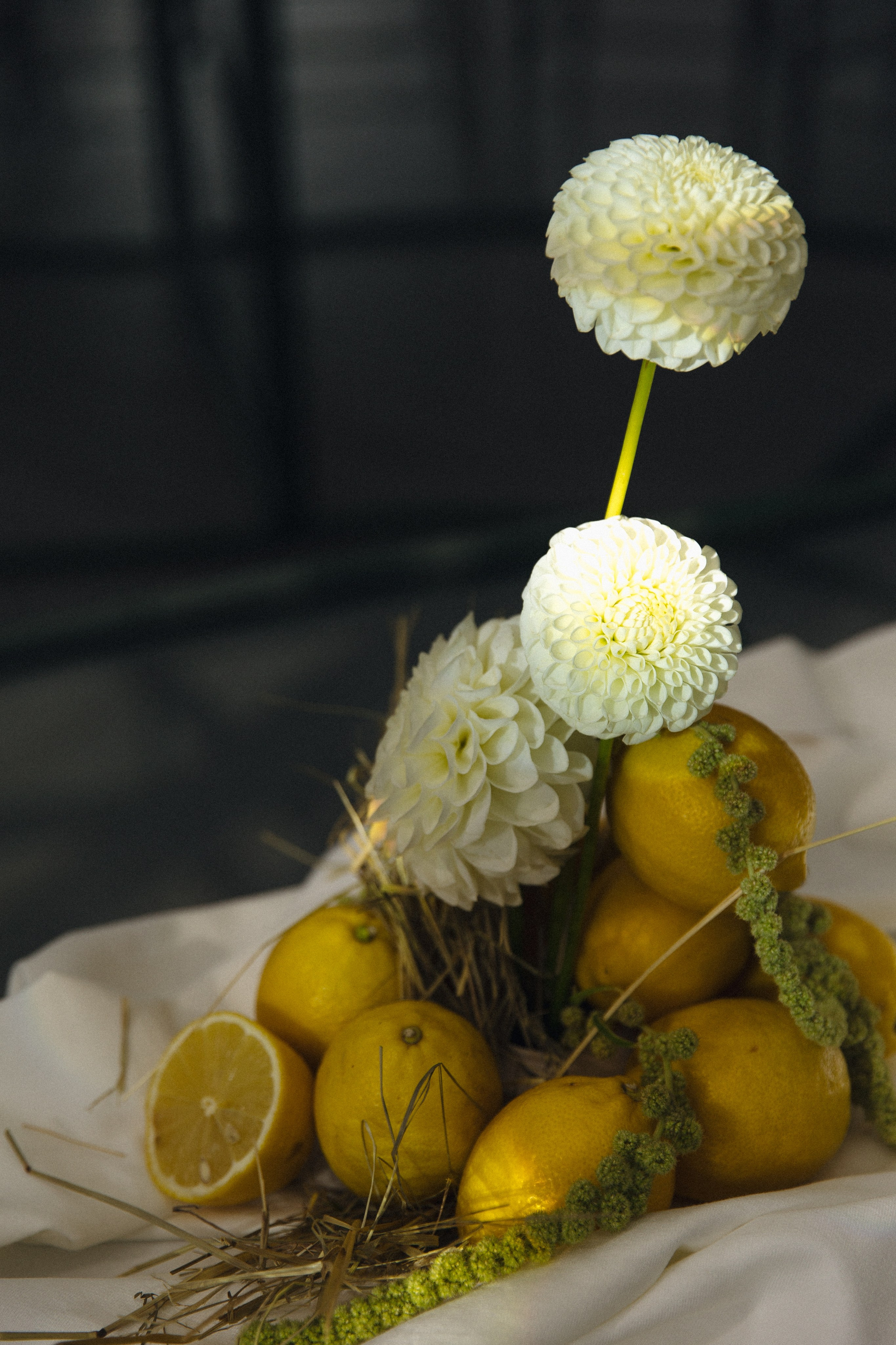 V & D. Свадебный фотограф Екатерина Садчикова