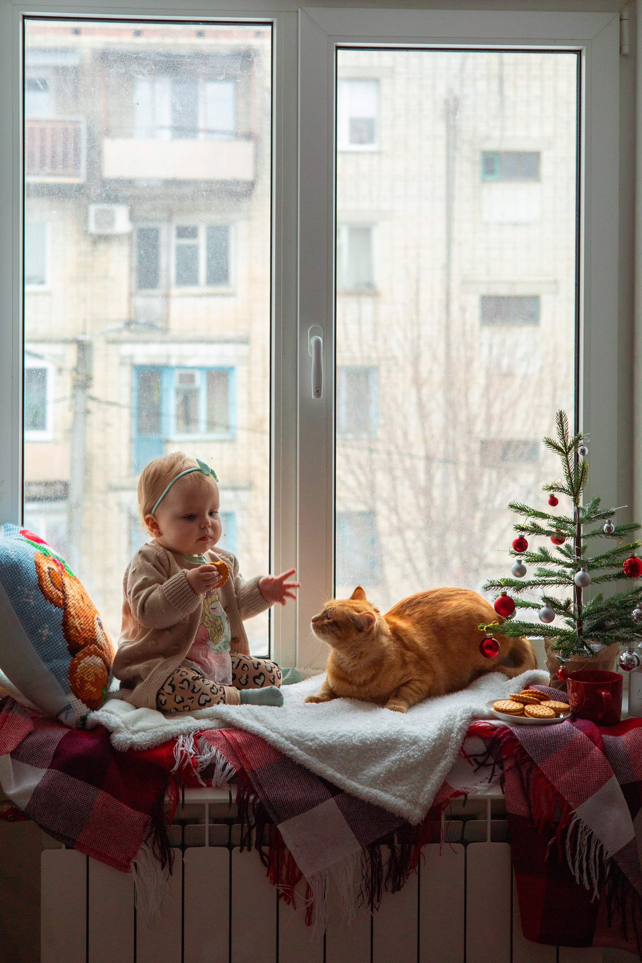 Новогоднее окно. Семейный и детский фотограф в Михайловке Татьяна Лестьева