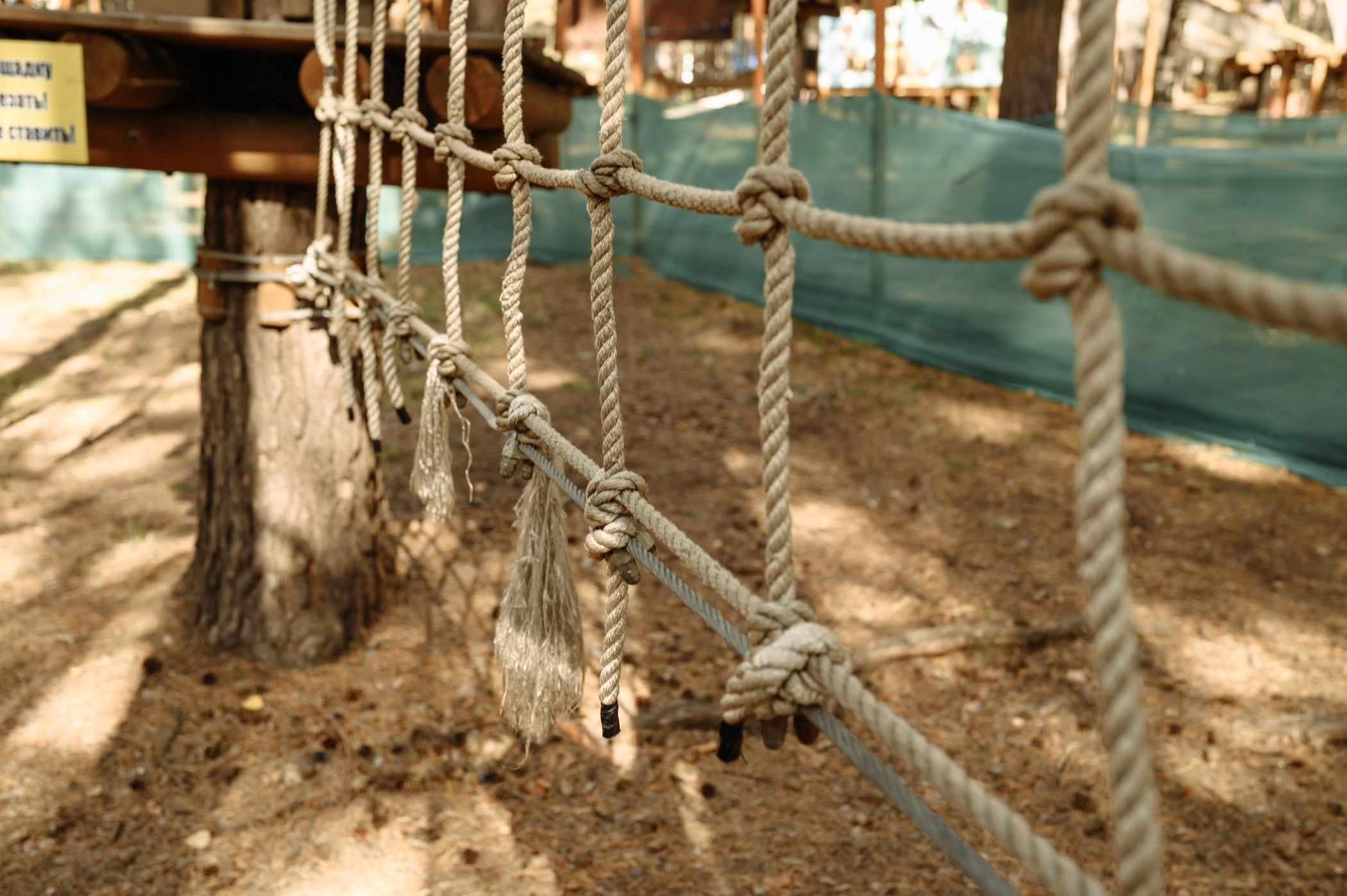 Улей-парк. Саша. Контент и бизнес съемка. Первоуральск, Екатеринбург.Наталья Старек