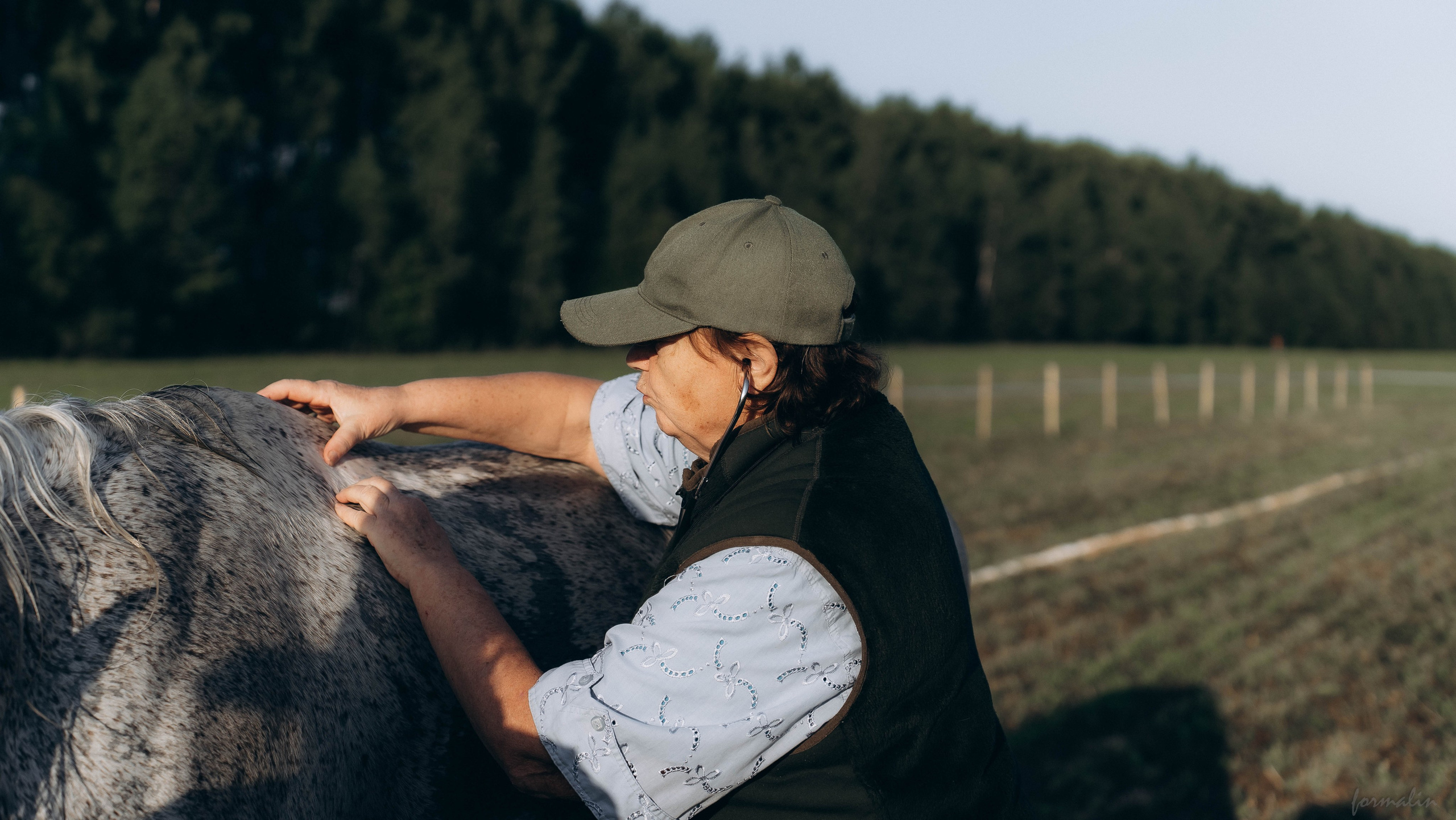 День Коня. Алиса Никитцова | Фотограф в Казани