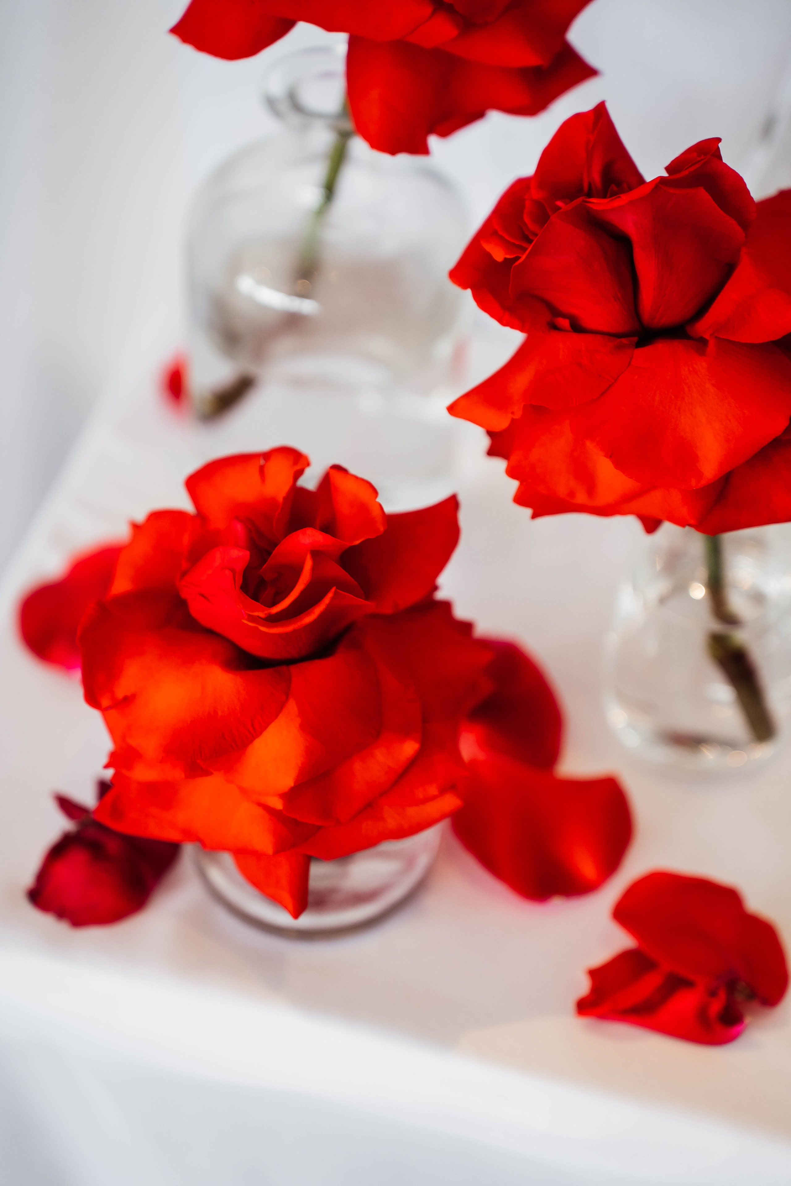 Майкл & Лиля. Фотограф Абакумова Анастасия