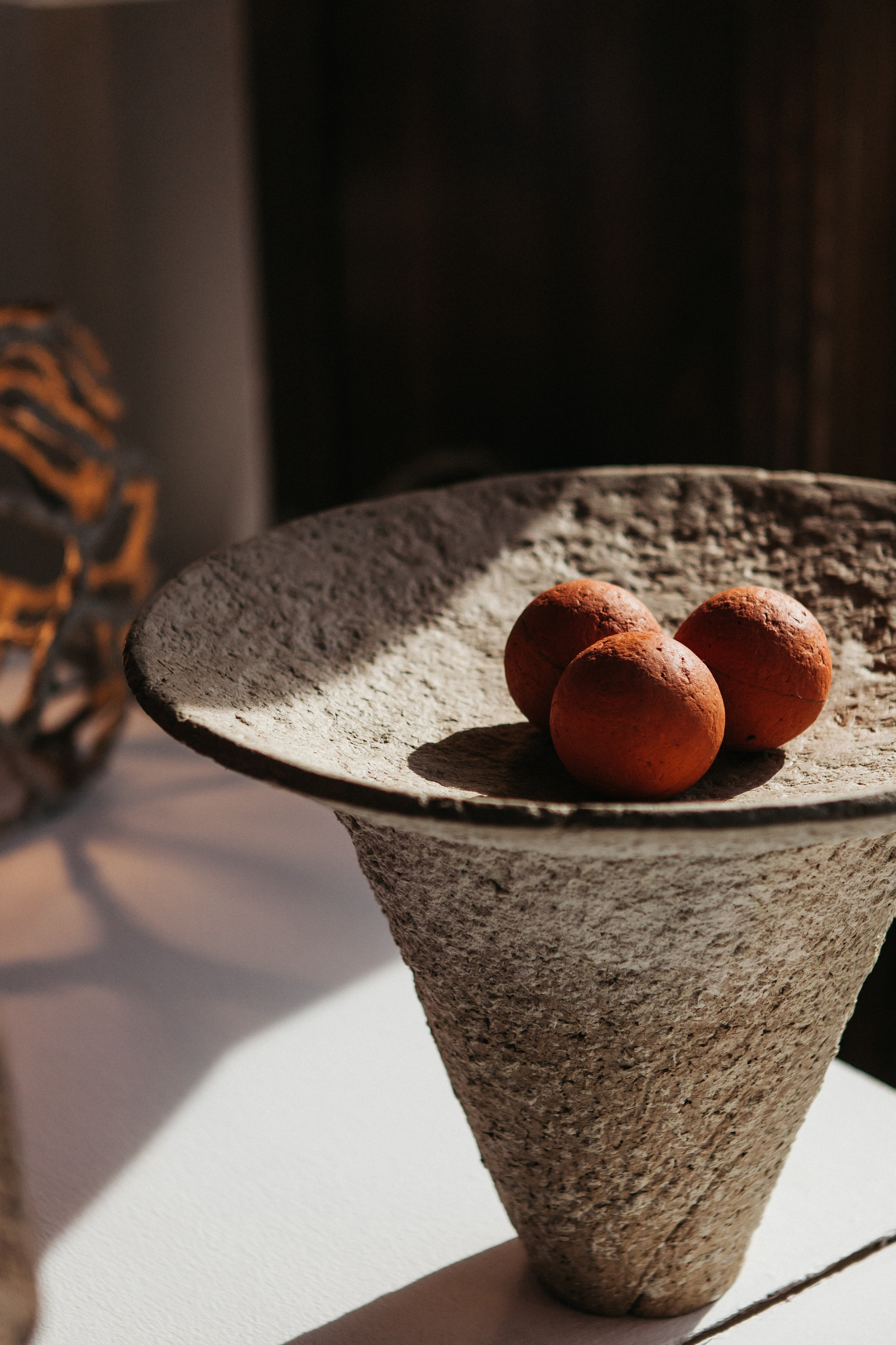 Выставки. Фото и видео для бизнеса Обнинск, Калуга, Москва