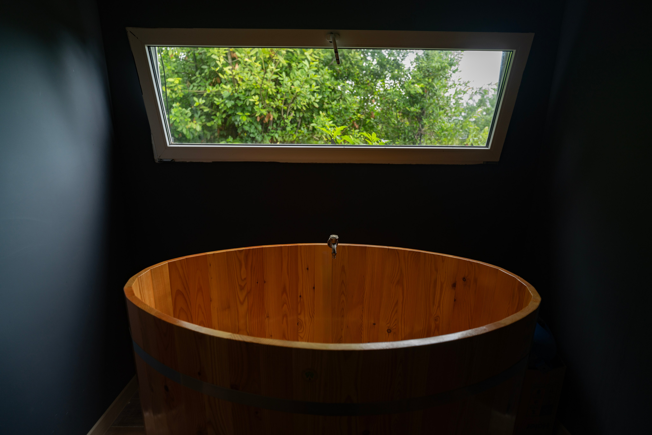 Дионис. Главная