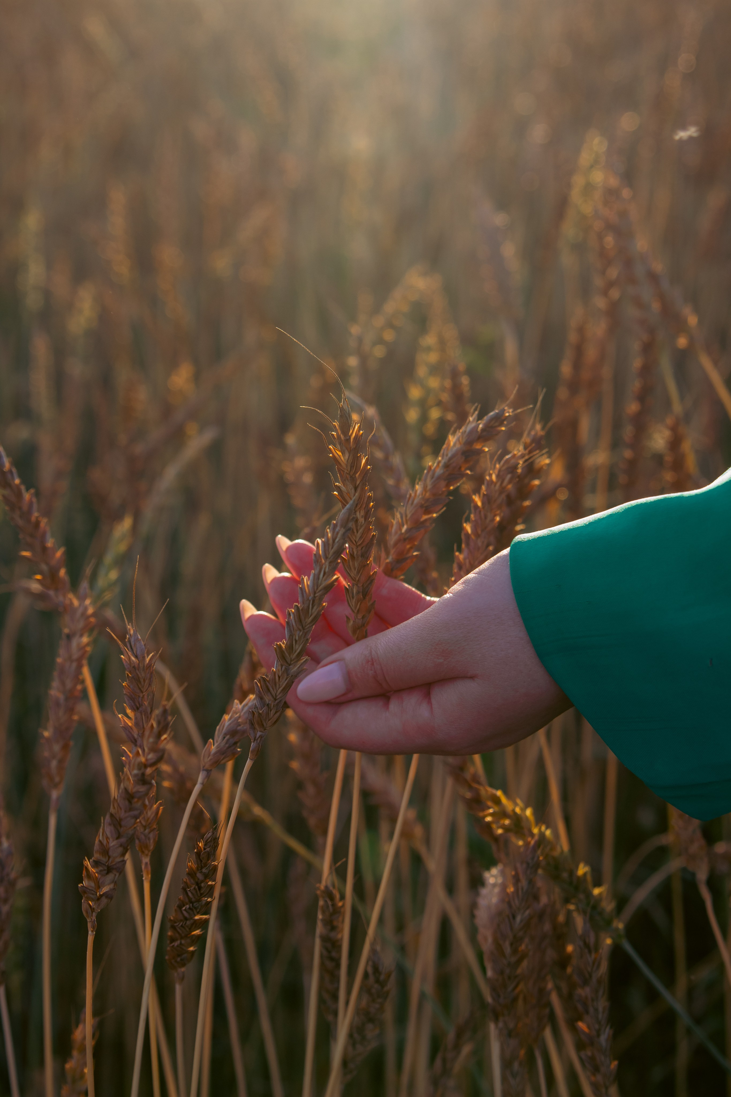 Ксюша. Екатерина Пашкова, фотограф, видеограф в Томске