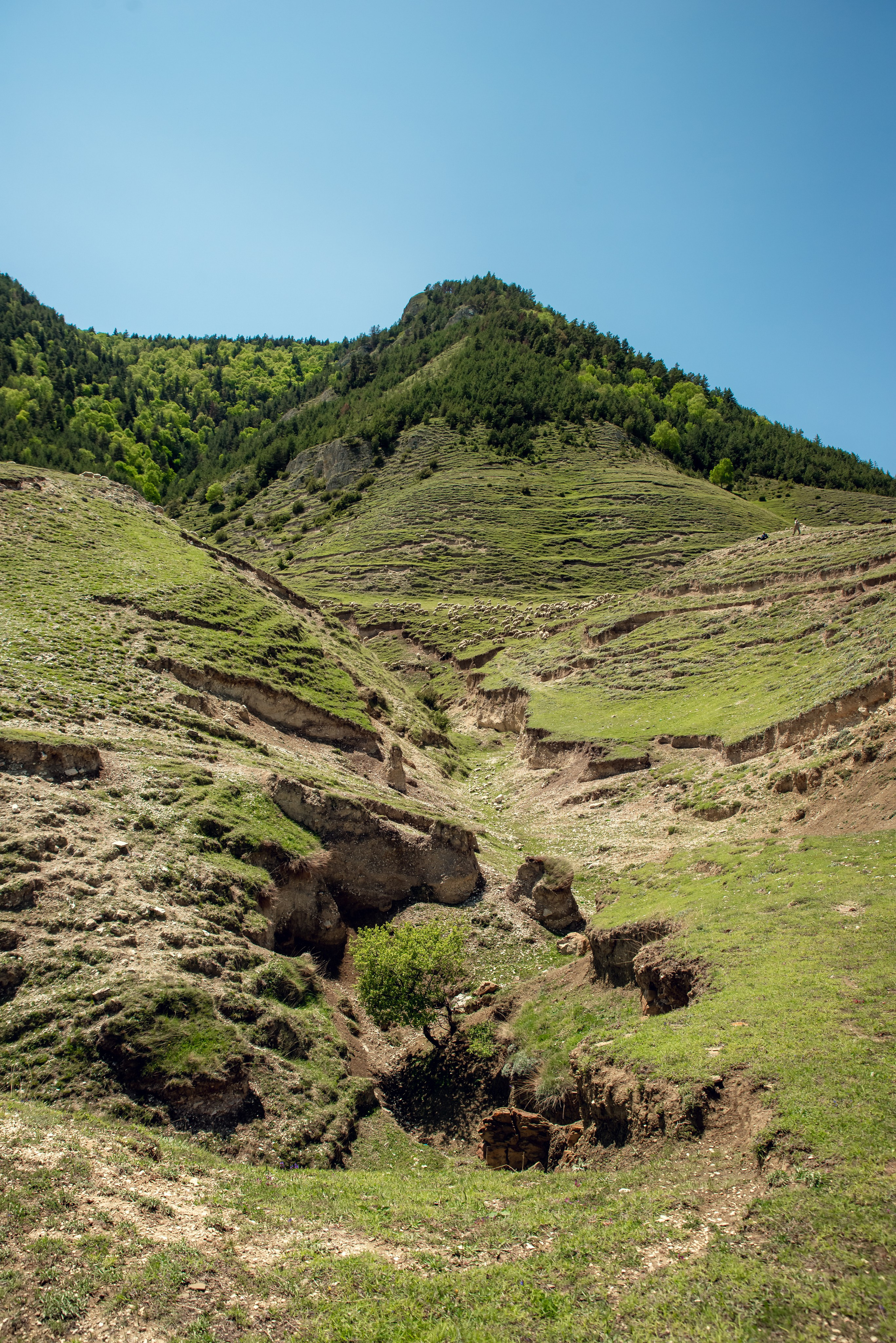 Дагестан. Фотограф Крещение Венчание Москва