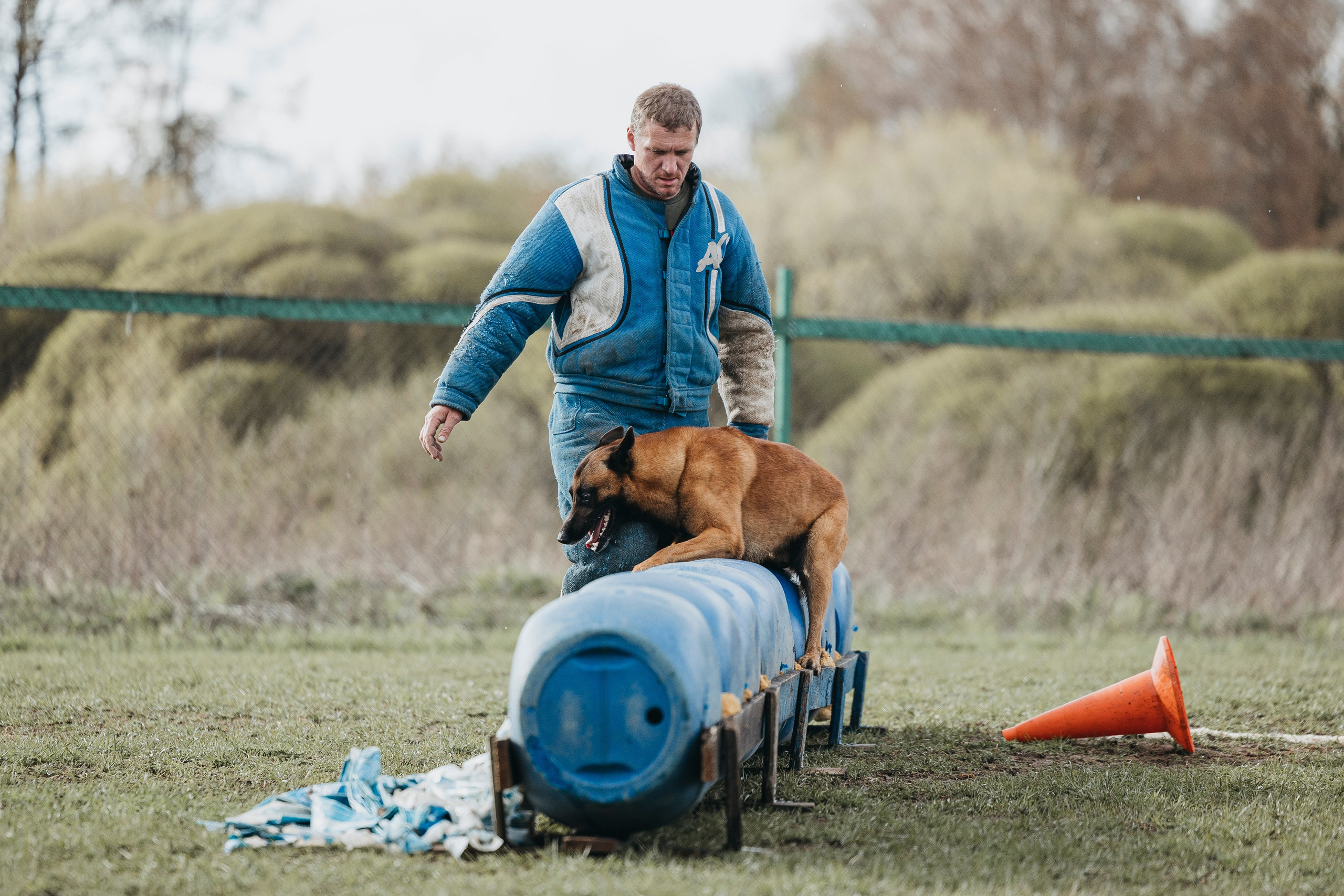 09.05.25 Вологда соревнования. Фотограф-анималист Анна Маринич