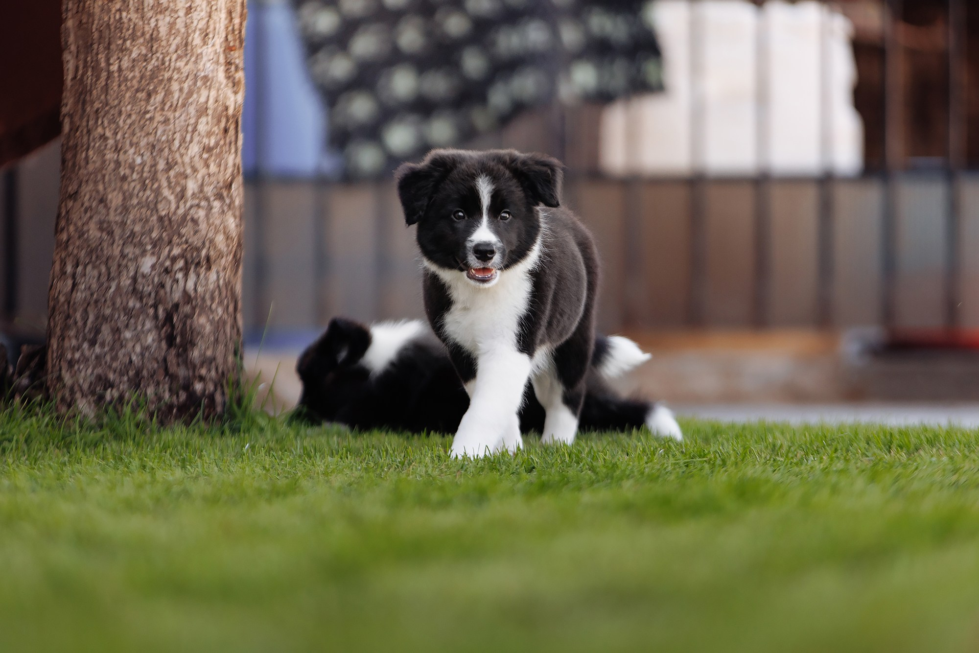 Трава у дома. О нас