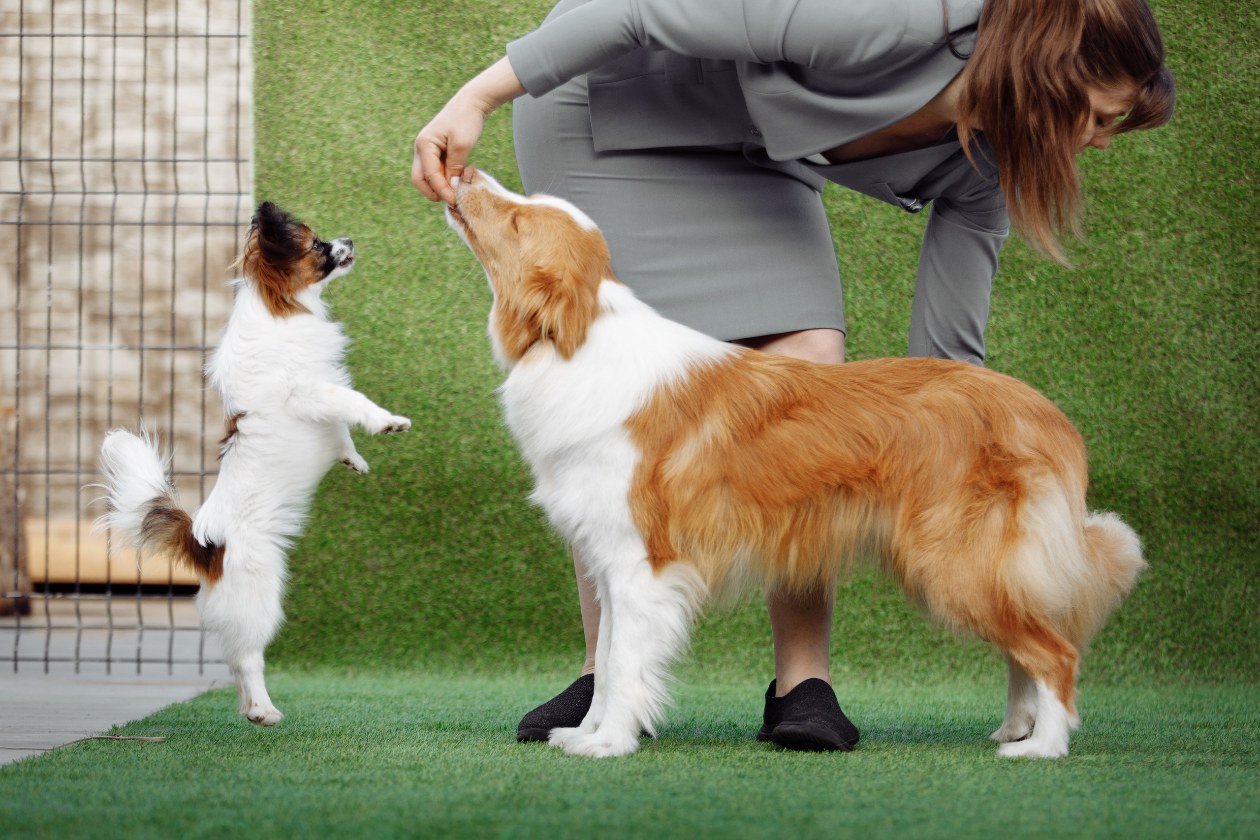 Свое место. О нас