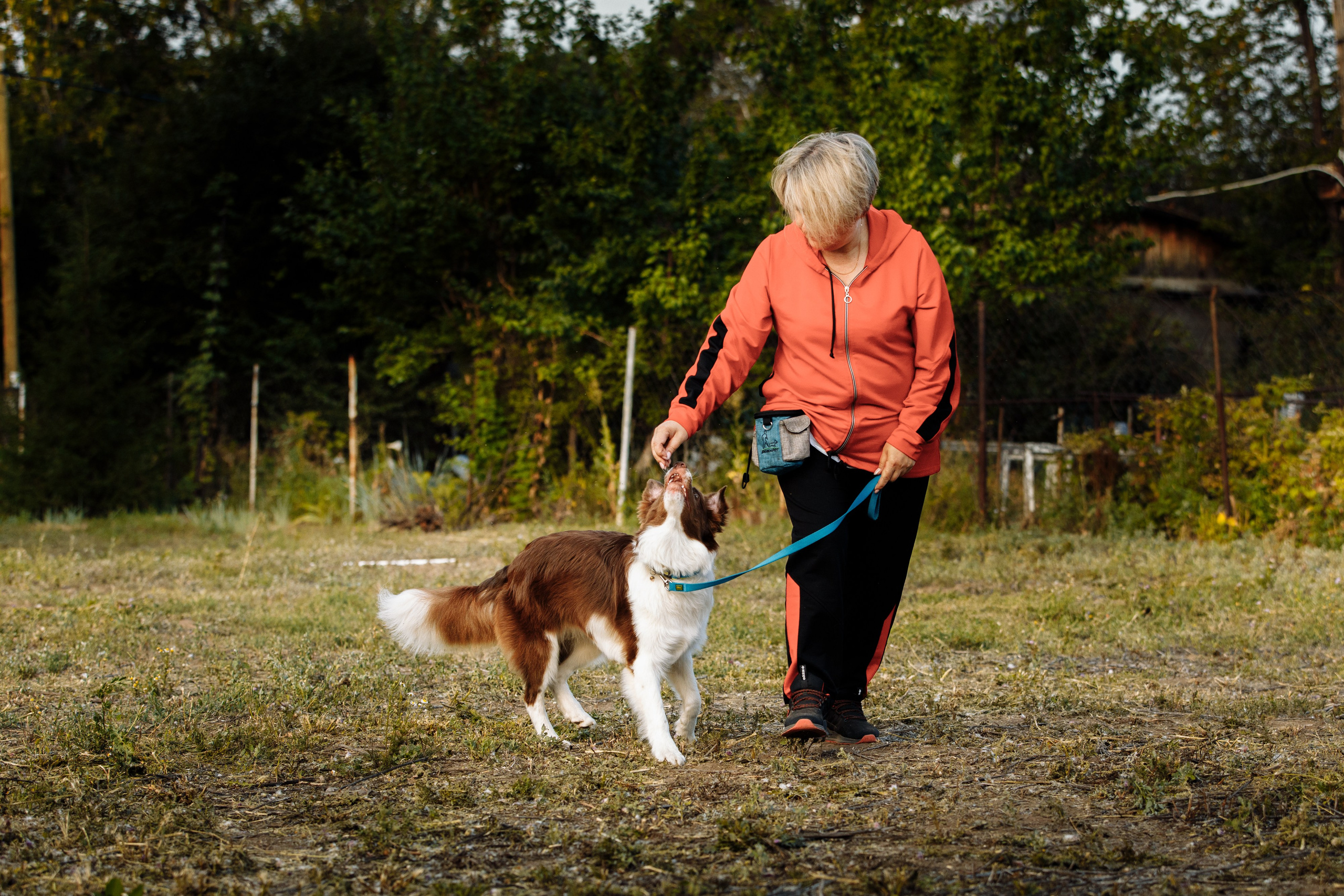 Овечий день. О нас