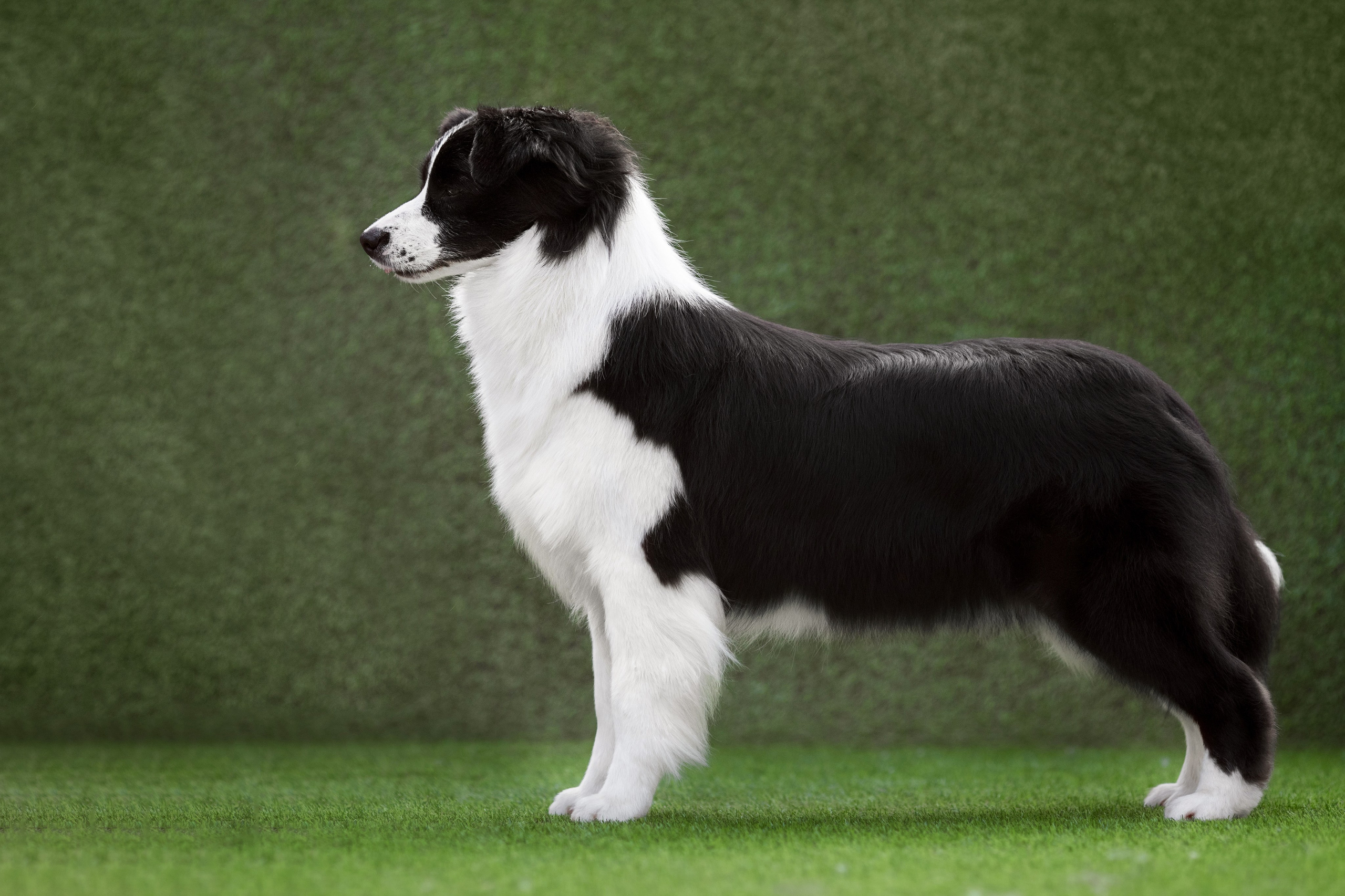 Роскошь в ростошах. О нас