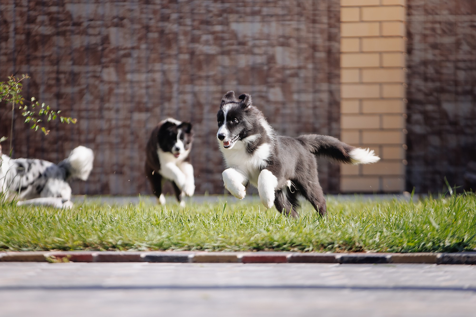 Трава у дома. О нас