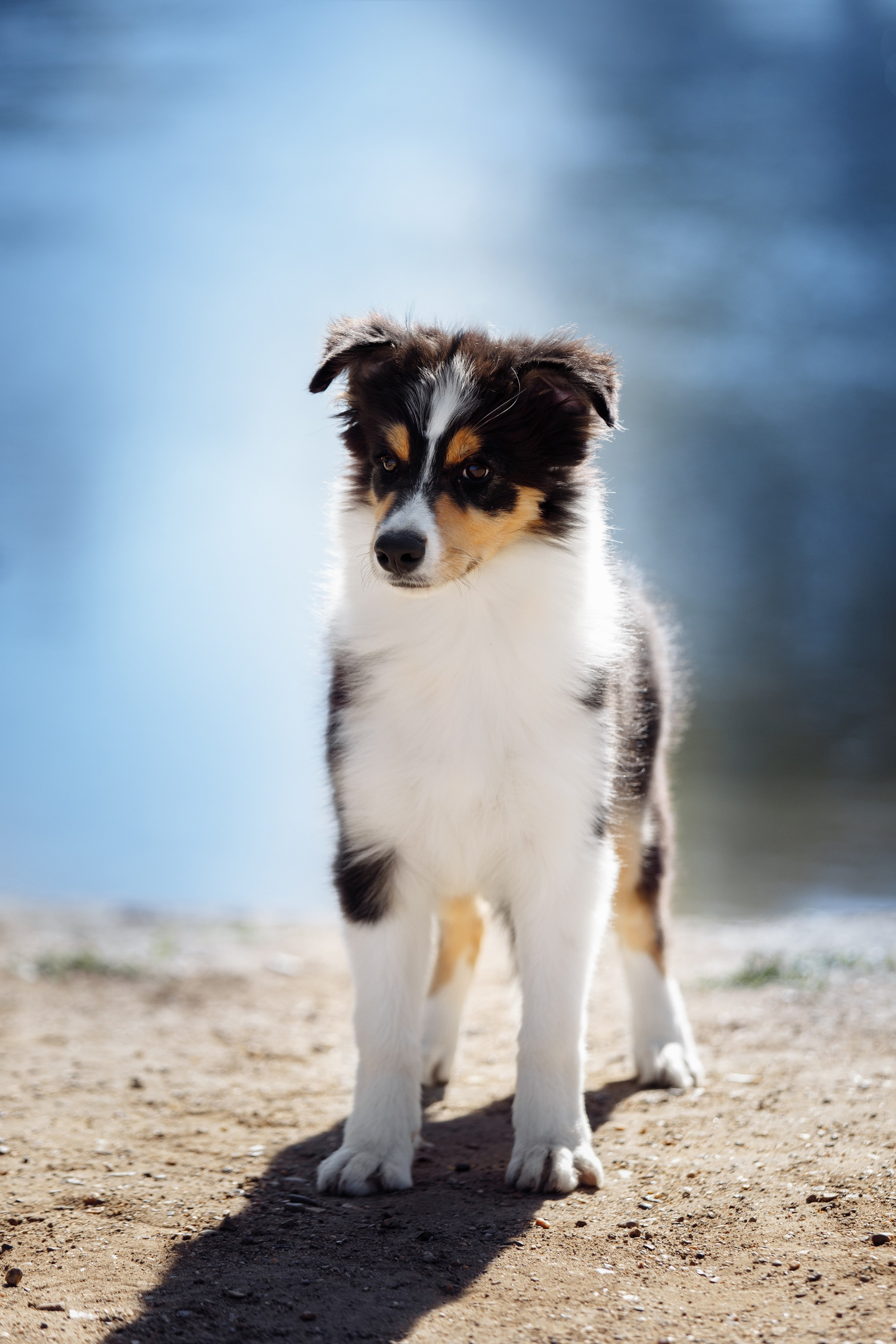 Водяные в Новотроицке. О нас