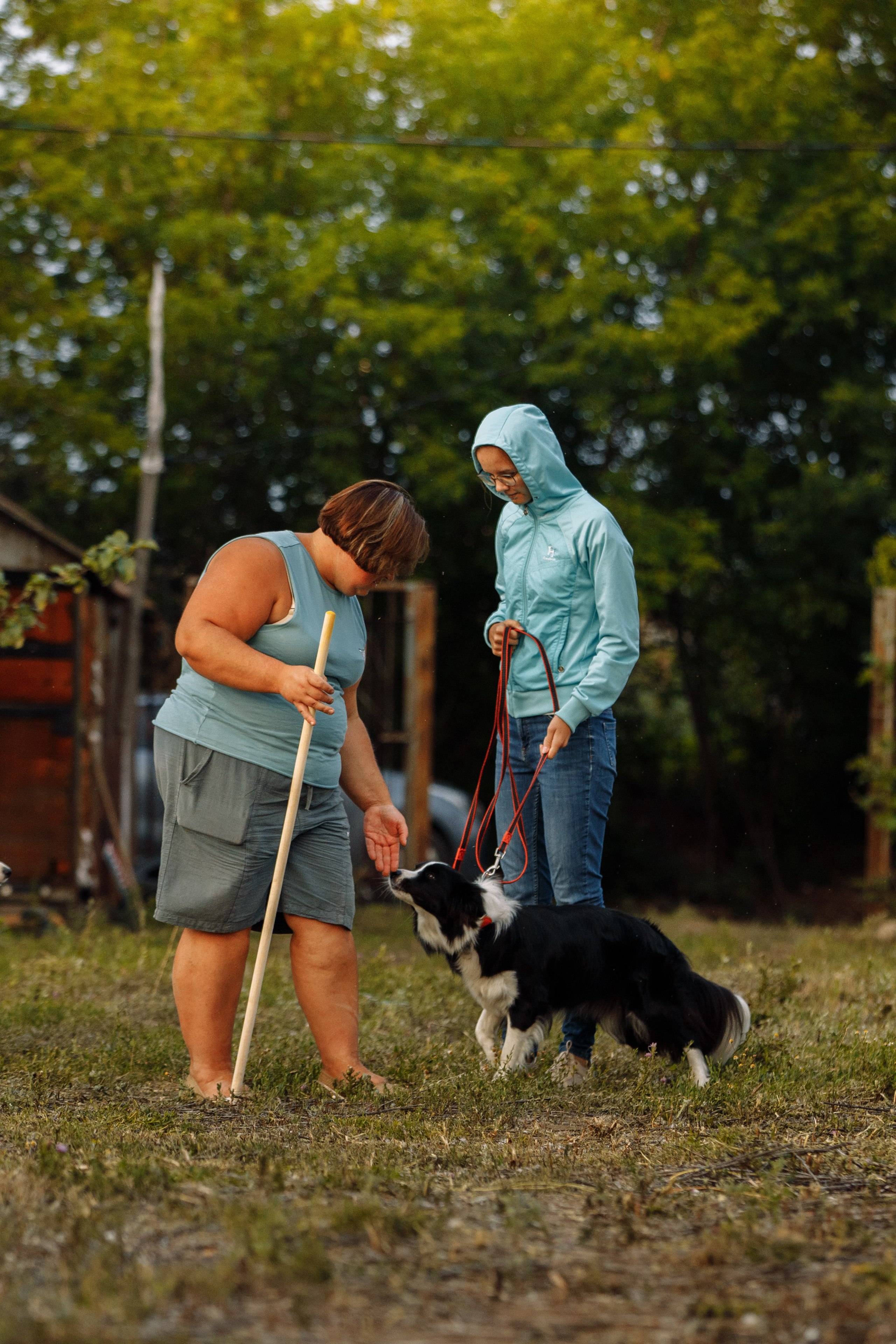 Овечий день. О нас