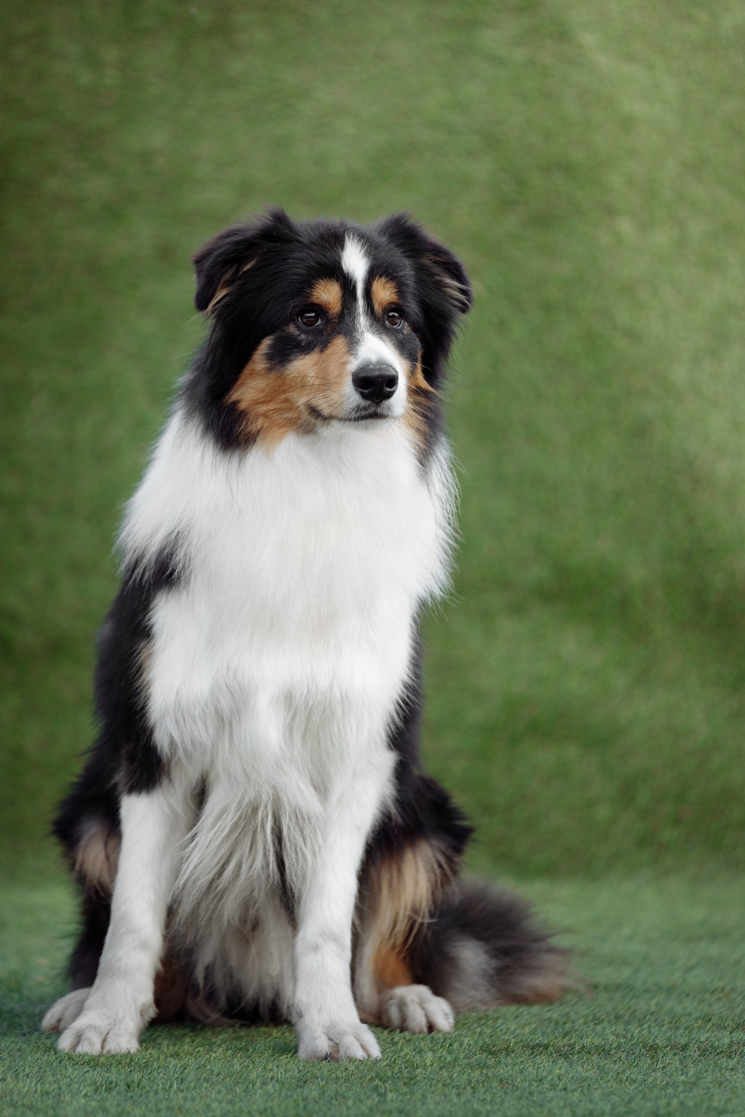 Свое место. О нас