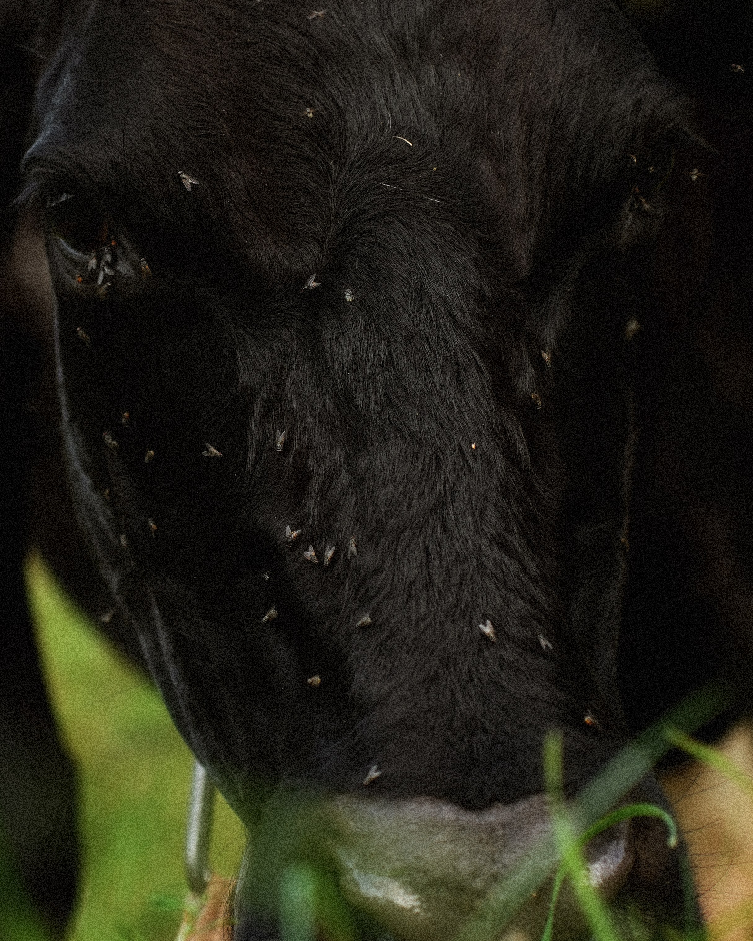 KALUGA. ANNA — PHOTOGRAPHER