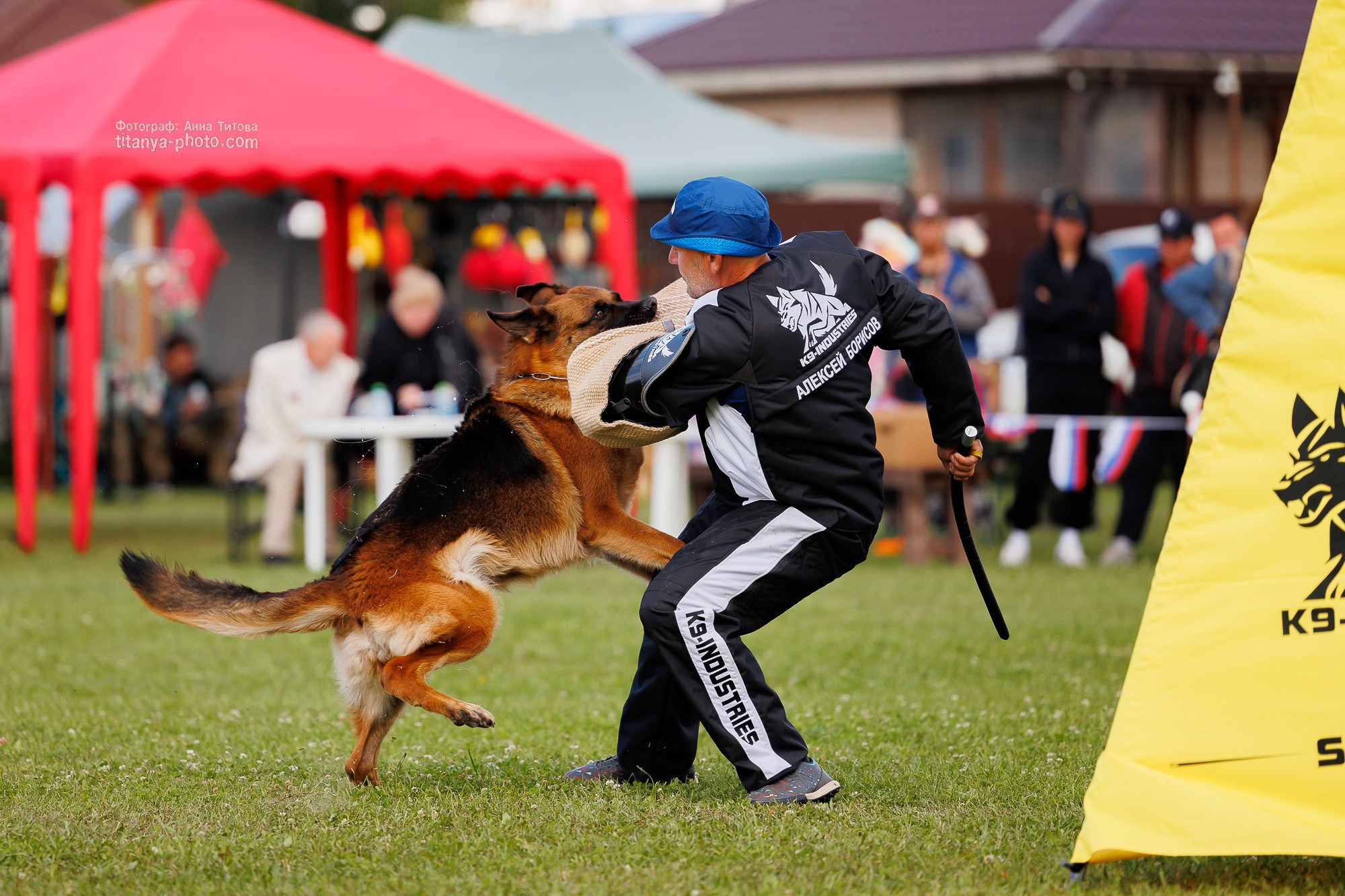 Немецкие овчарки: фото из рингов и вне ринга, мутпроба (фотографии с выставок). Фотограф собак, фотограф-анималист Аня Титова (Titanya). Москва