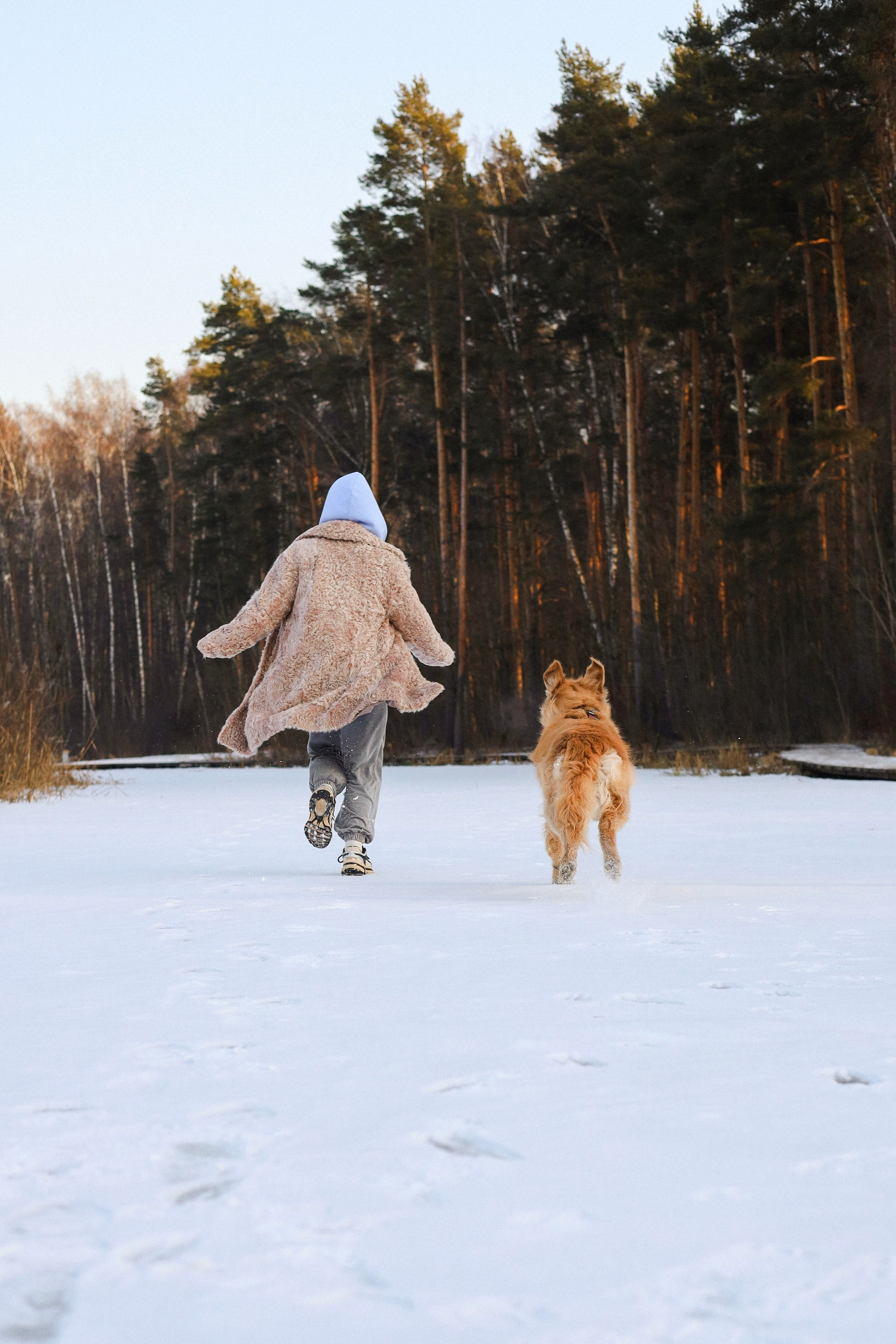 Лёва и Катя. Фотограф-анималист Ксения Шевцова|Москва