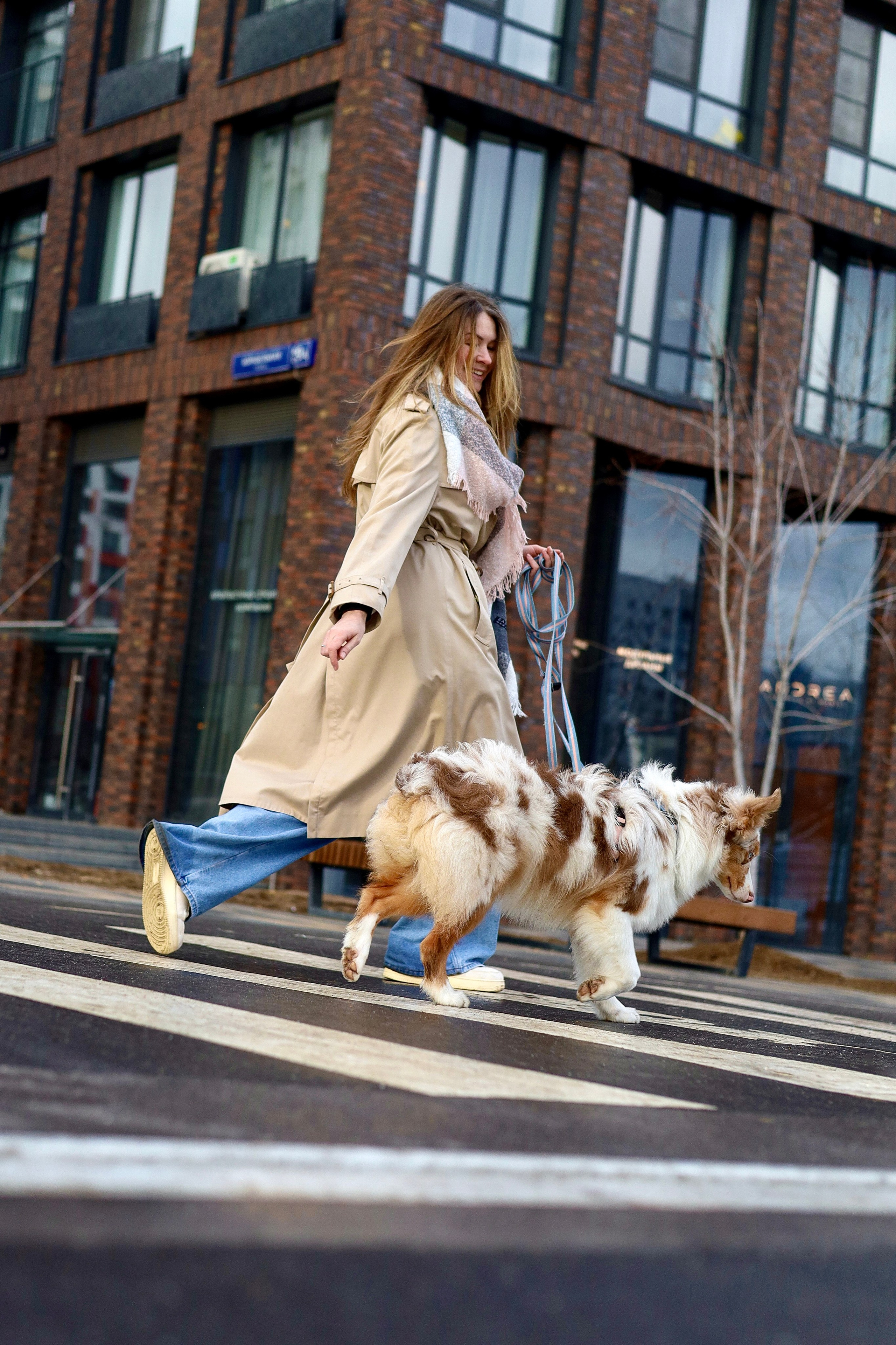 Бри и Яна. Фотограф-анималист Ксения Шевцова|Москва