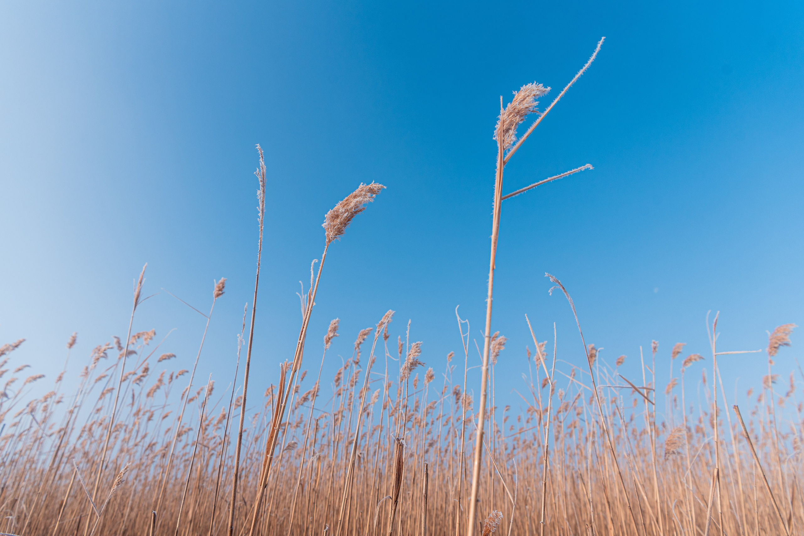 Фотографии утреннего тумана под Волжским. Фотограф в Волгограде и Волжском Александр Горбань