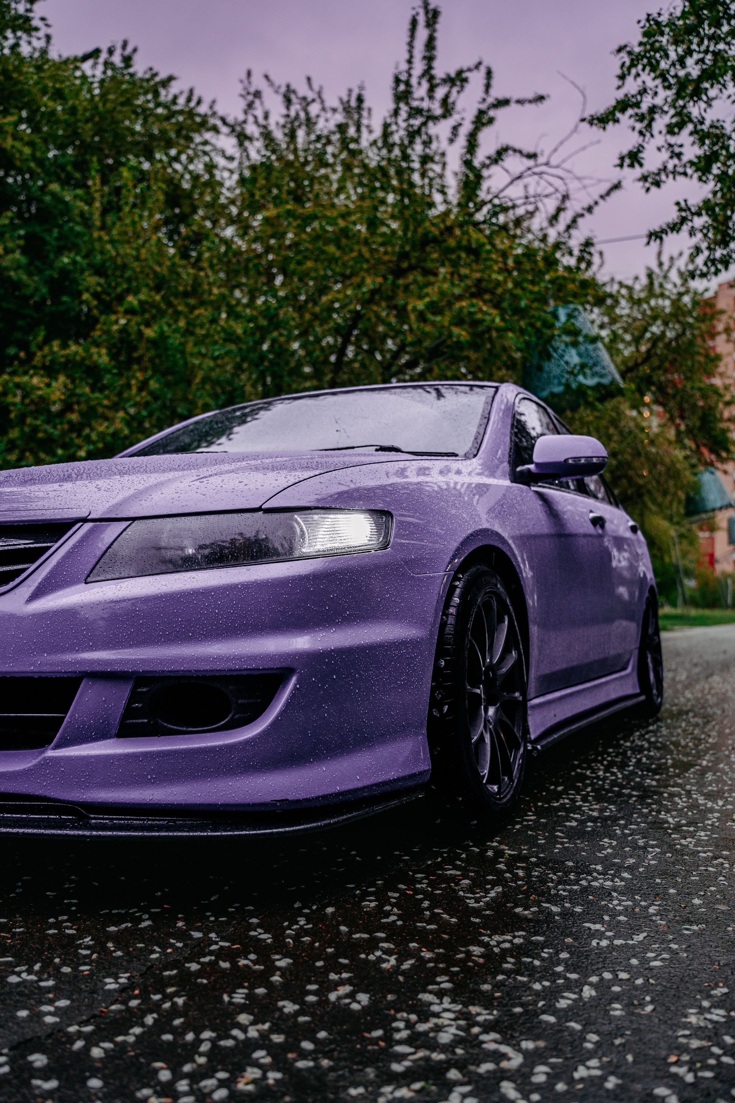 Honda Accord. Фотограф, видеограф и пилот дрона на Байкале
