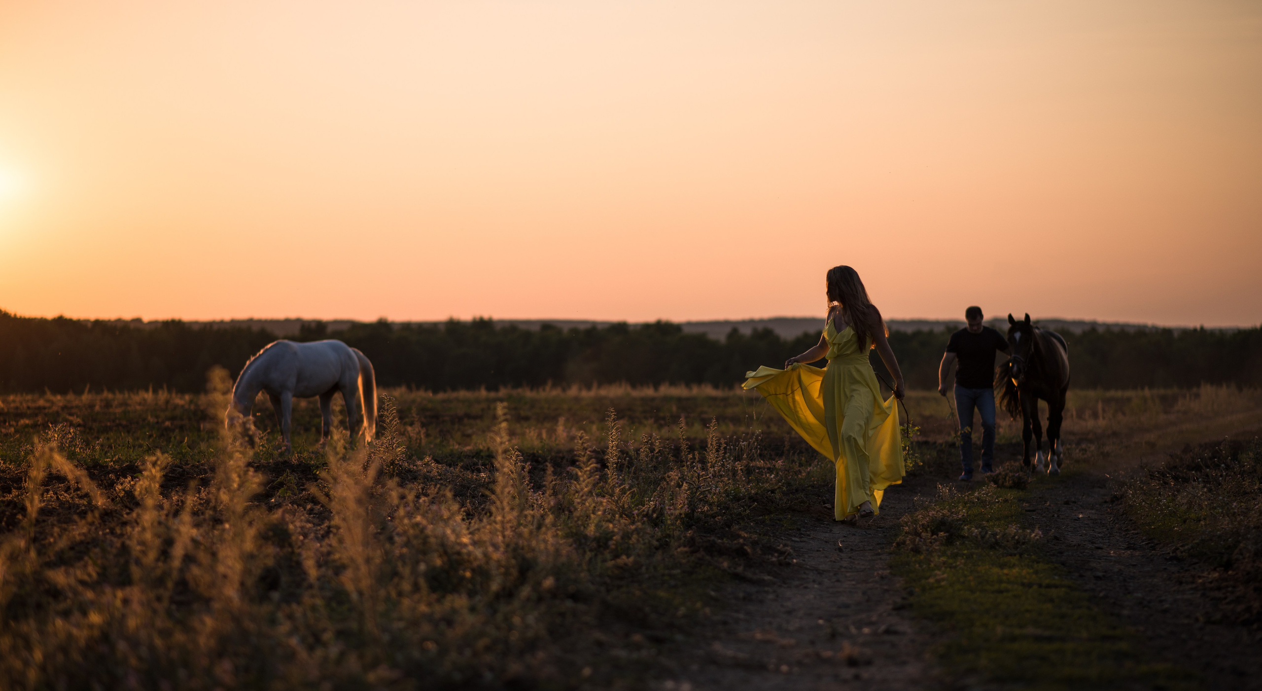 Кристина и Илья, Каспиец и Багрец. Конный фотограф в Саратове Юлия Иванова