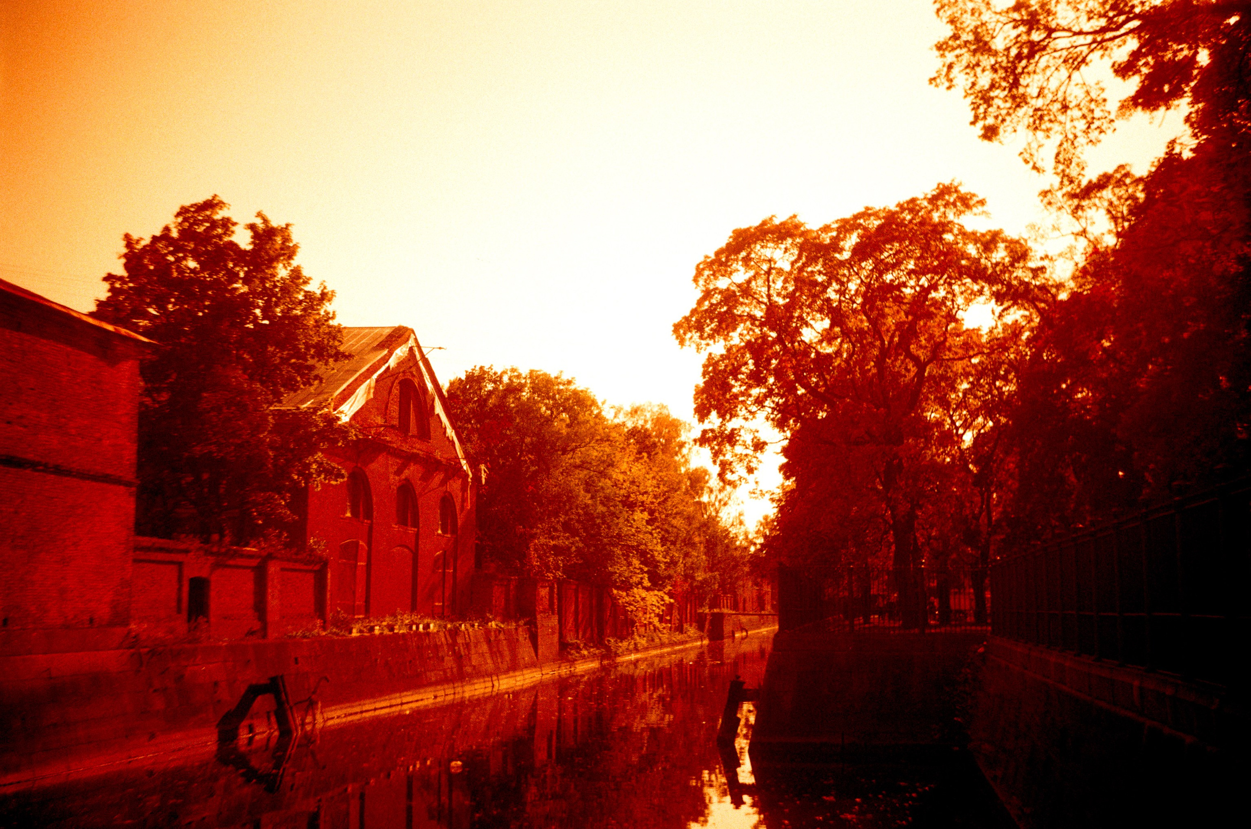 Redscale. Варвара Цымбал