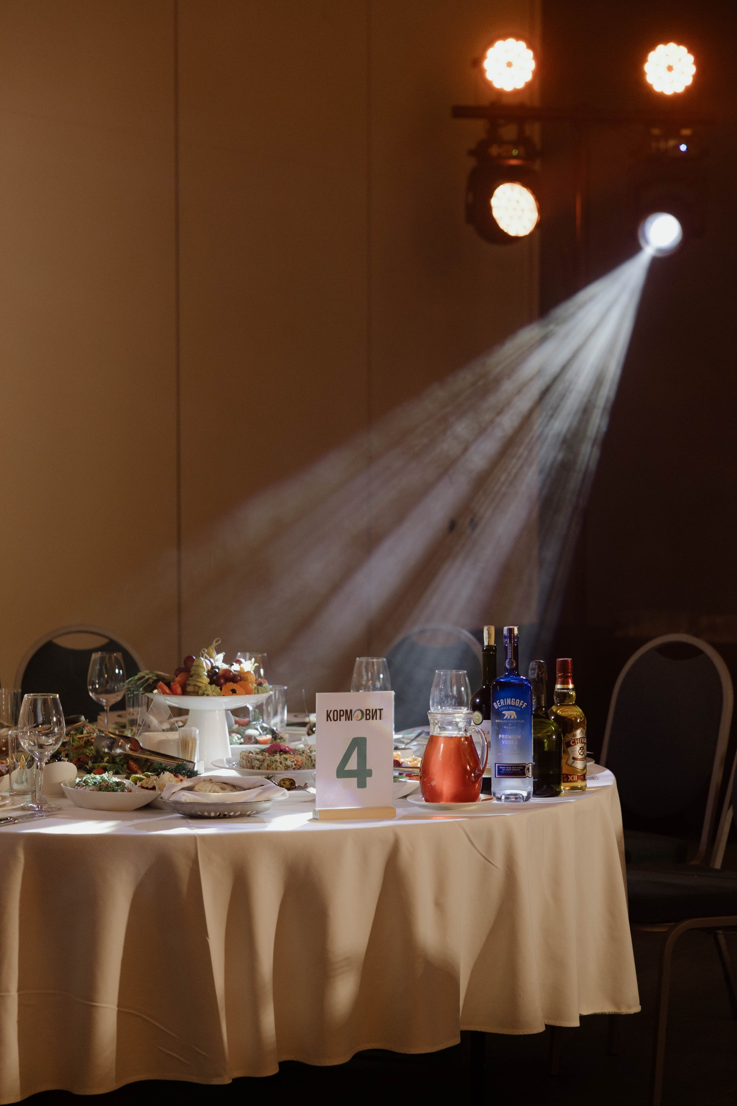 Конференция и ужи. Кормовит. Роза хутор. Фотограф Юсова Мария