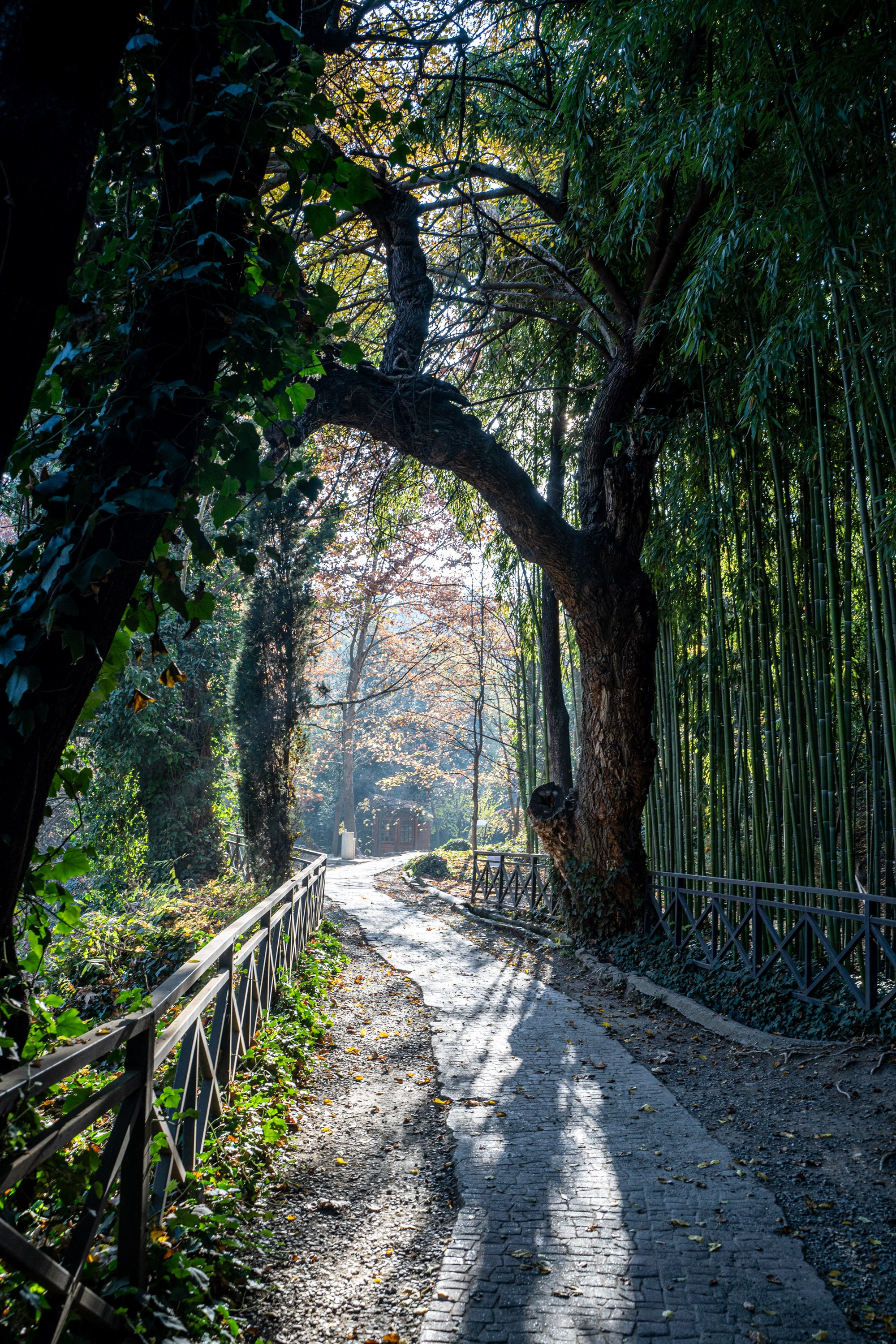 Фотокартины. Семейный фотограф Ирина Ильиных-Вольная в Москве и не только