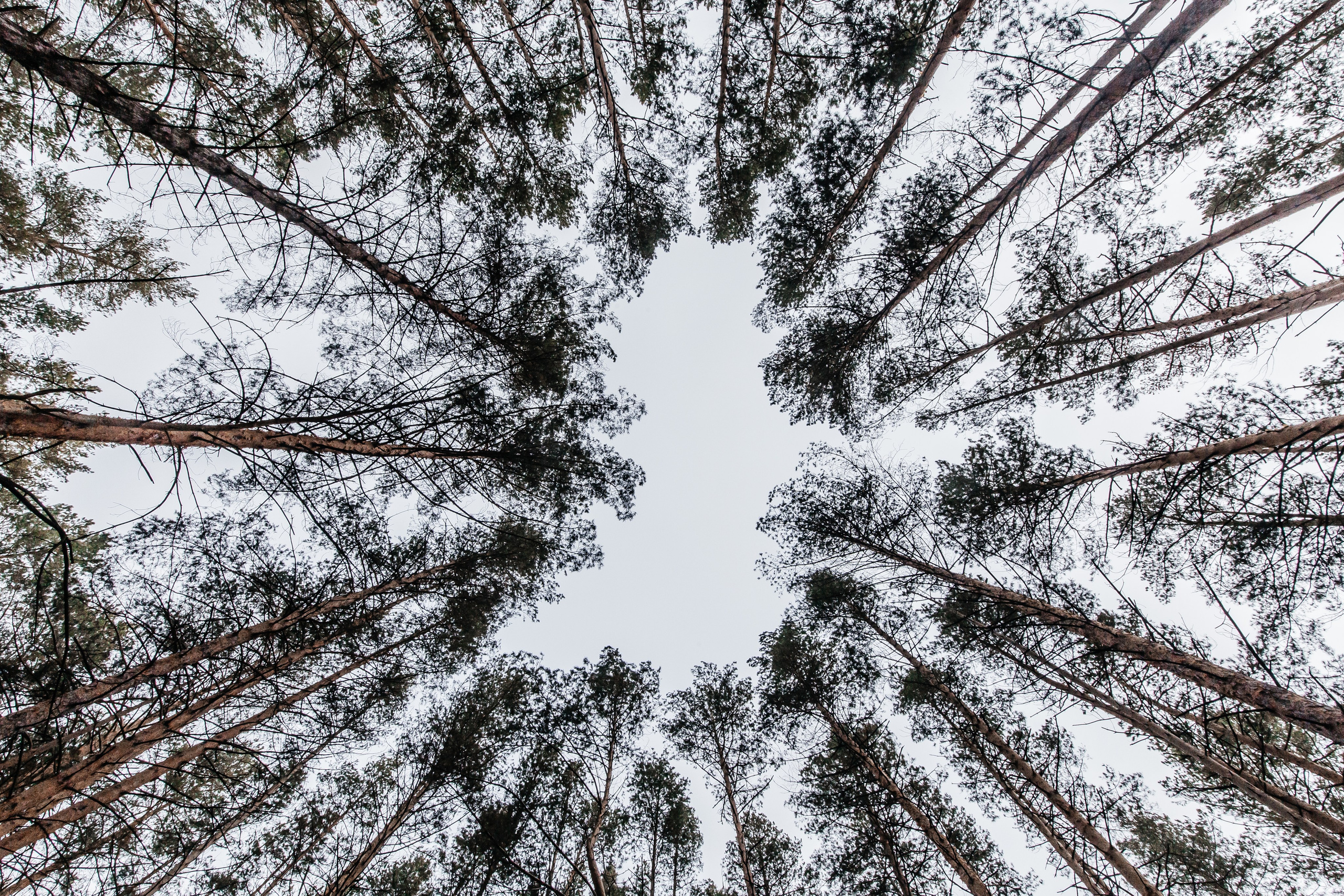 Jaecoo J7 3.0. Фотограф в Самаре / Олеся Широнина