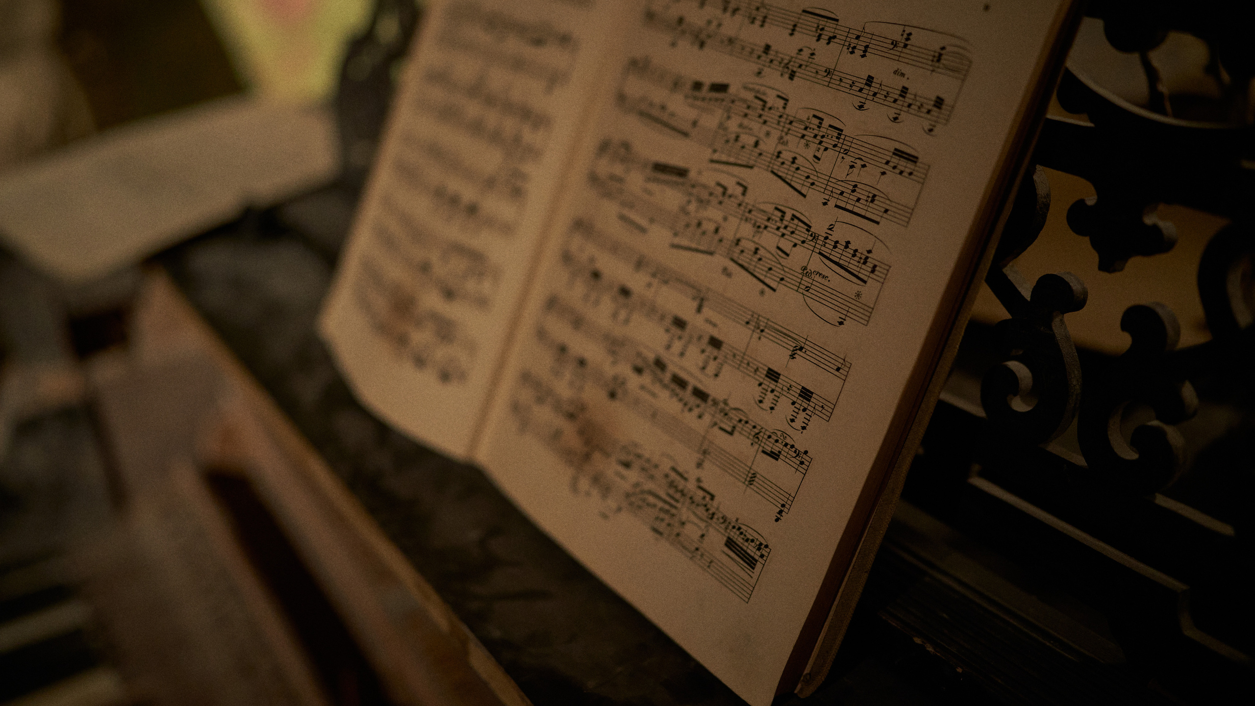 Пропавшие в кинохронике. Сергей Горшенин — профессиональный фотограф