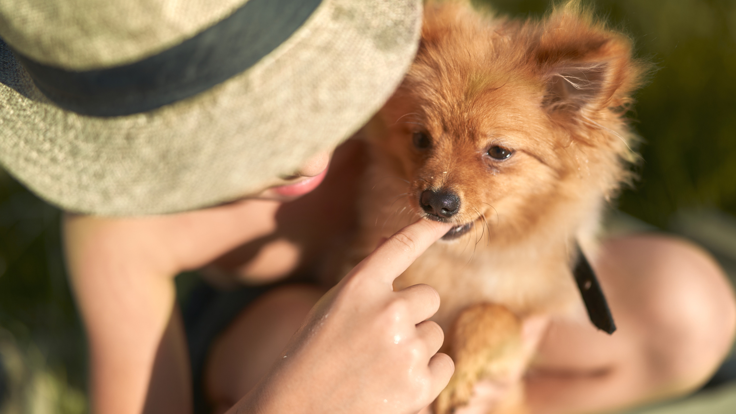 Рыбалка. Сергей Горшенин — профессиональный фотограф