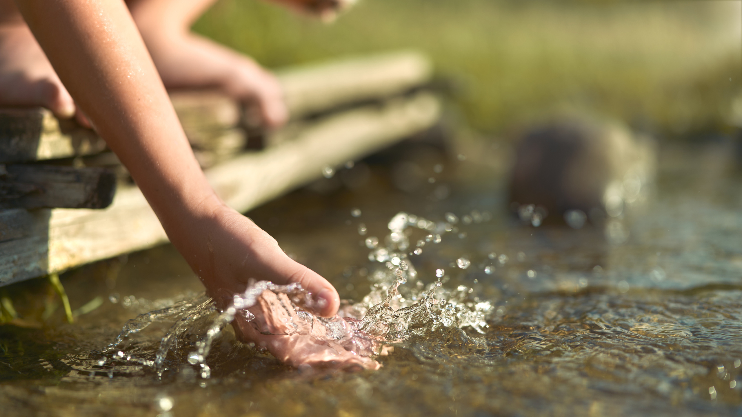 Рыбалка. Сергей Горшенин — профессиональный фотограф