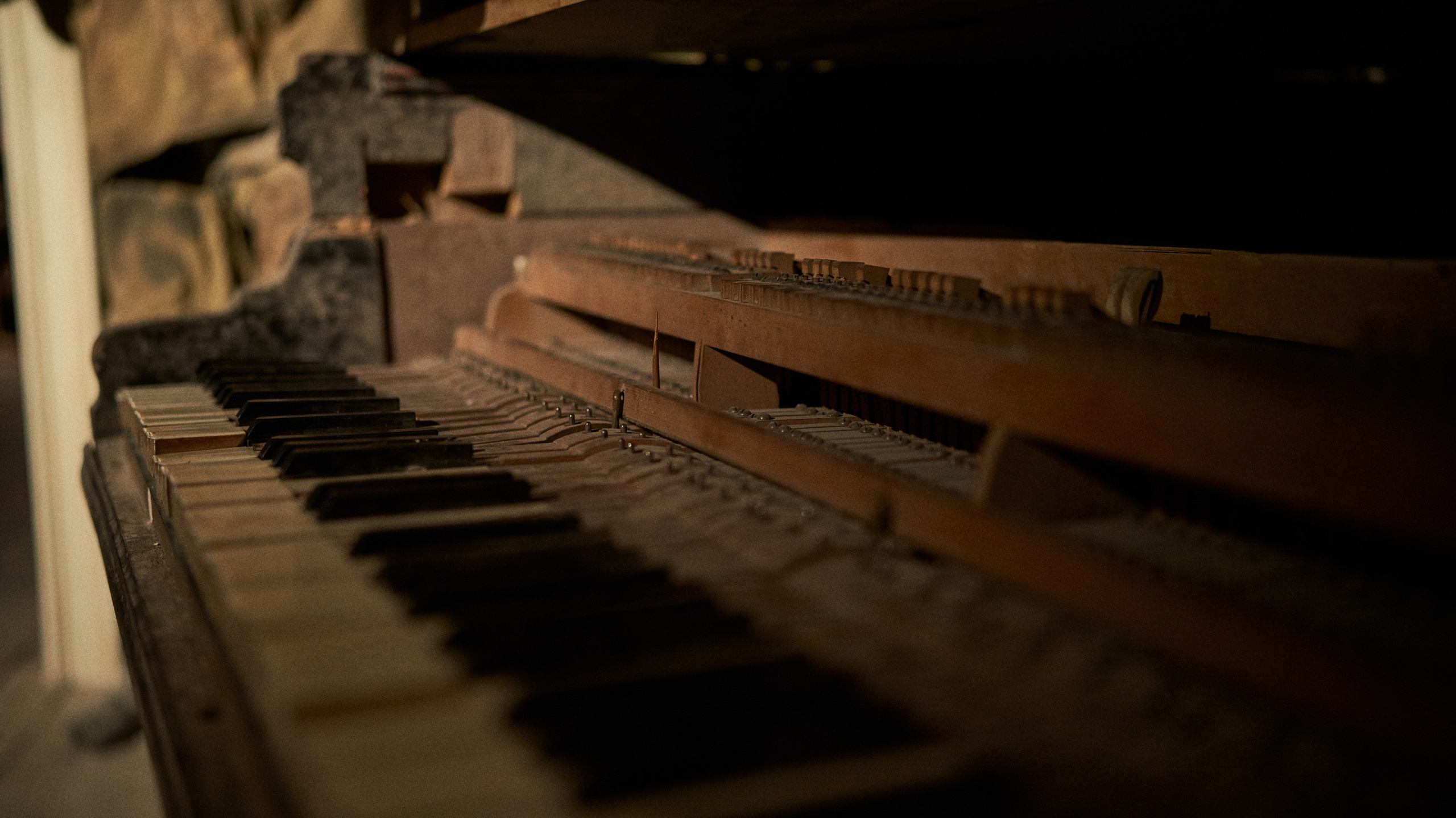 Пропавшие в кинохронике. Сергей Горшенин — профессиональный фотограф