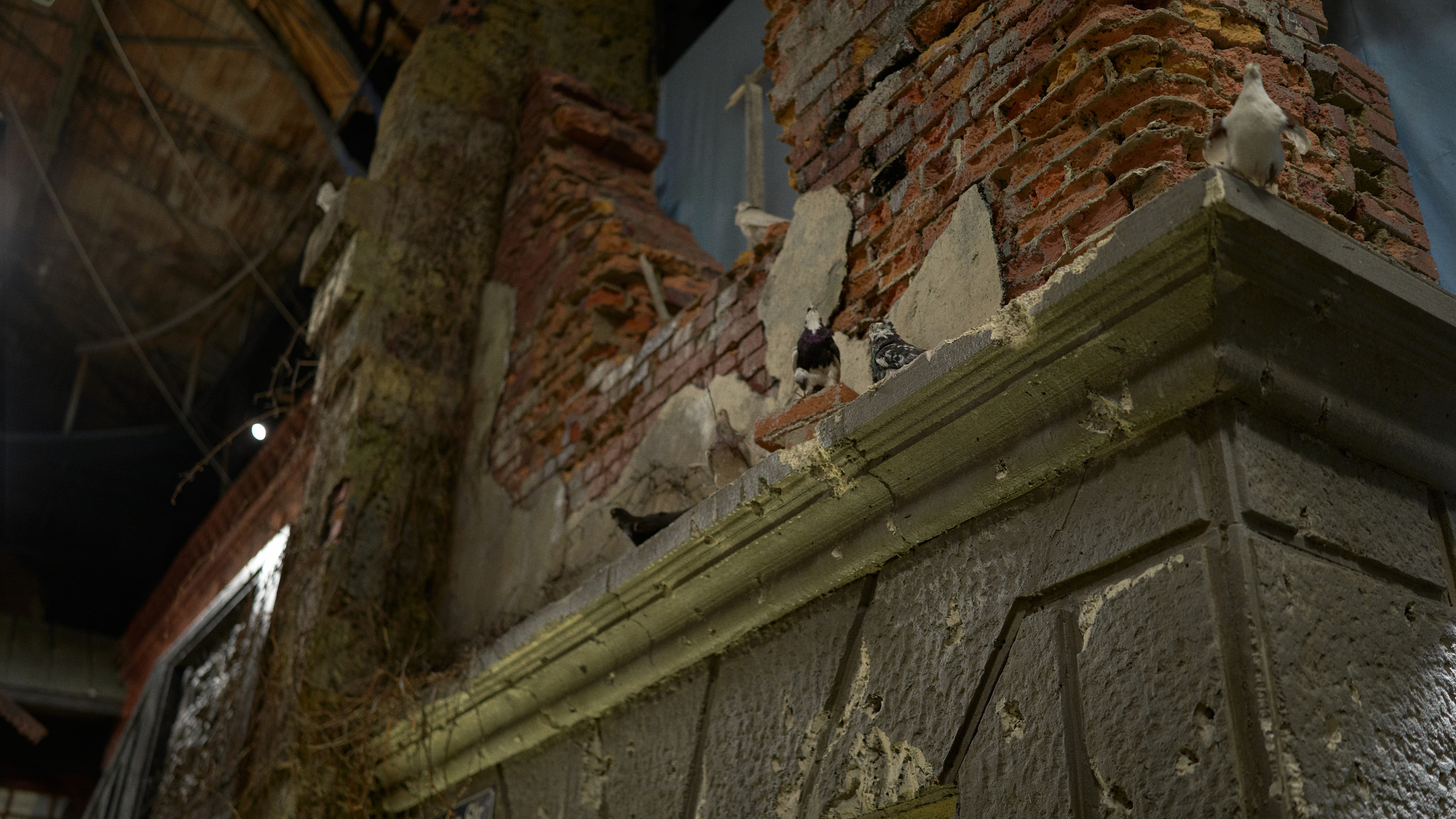 Пропавшие в кинохронике. Сергей Горшенин — профессиональный фотограф