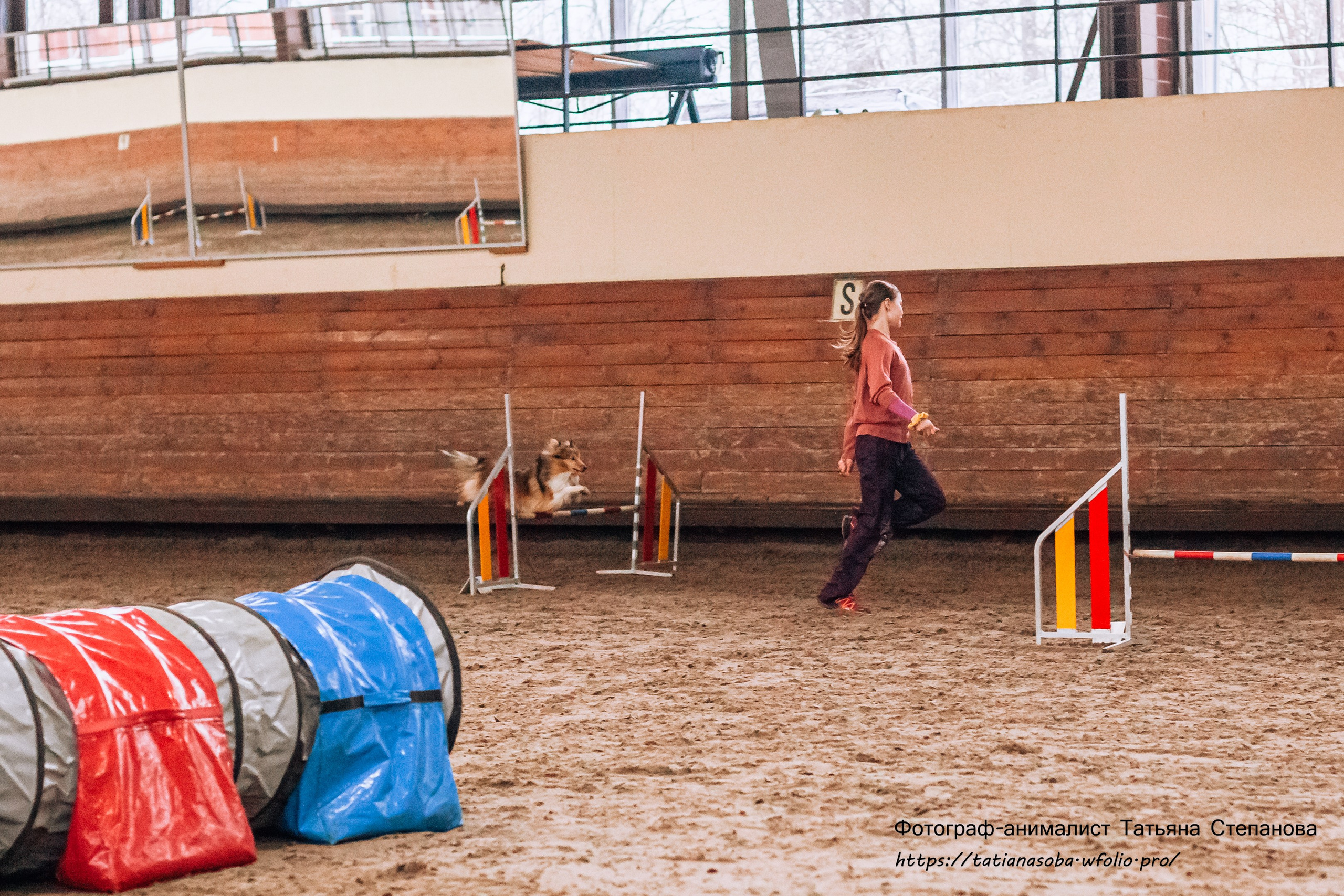 Соревнования по Аджилити 25.02.2024. Фотограф-анималист Татьяна Степанова