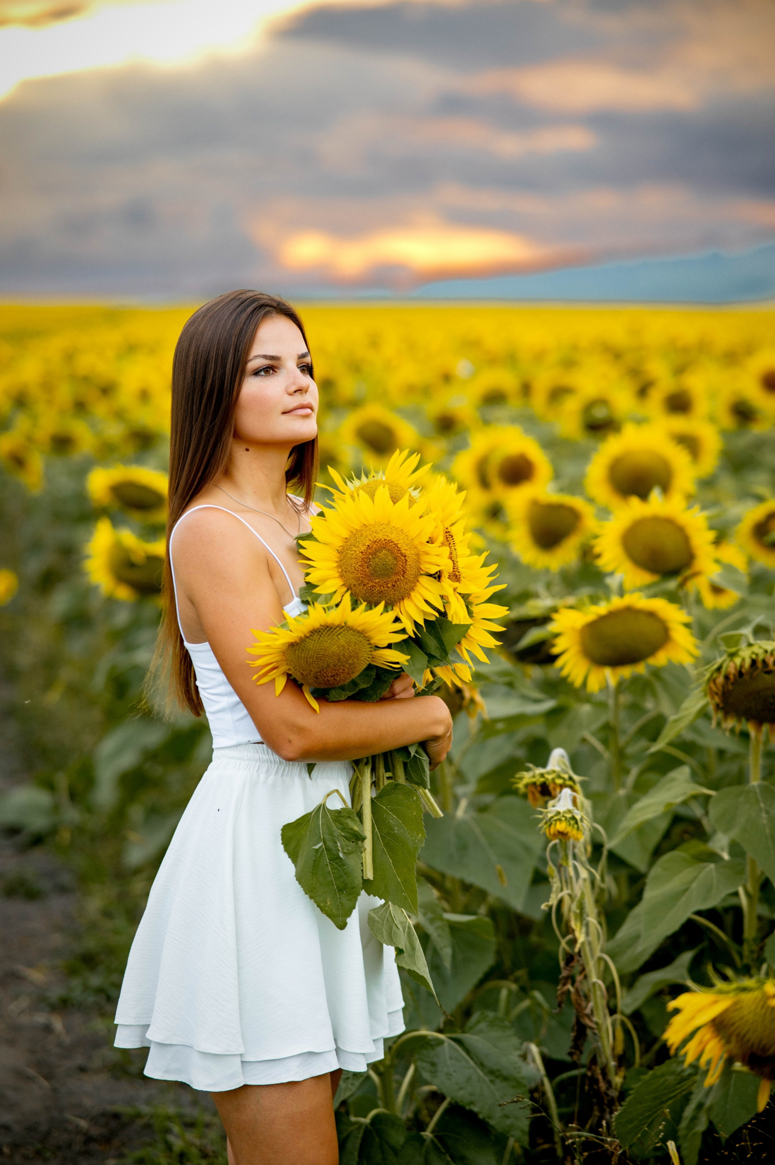 Подсолнуховое поле. Семейный и свадебный фотограф в Абакане Юлия Су