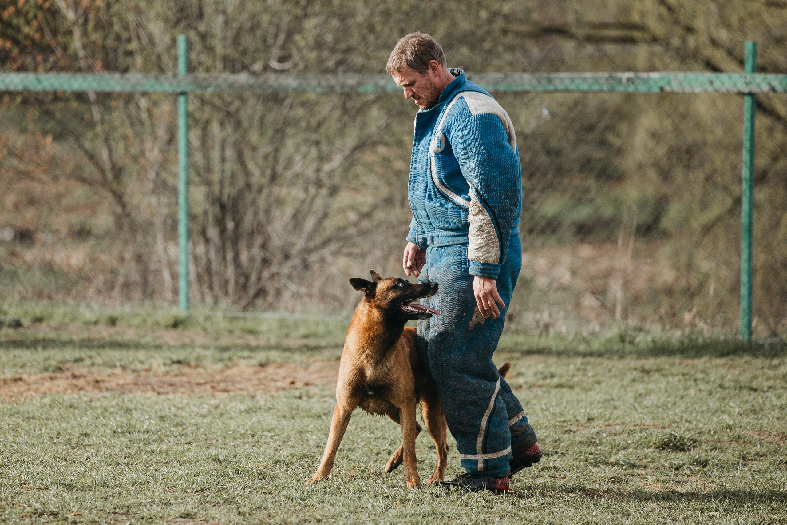 09.05.25 Вологда соревнования. Фотограф-анималист Анна Маринич
