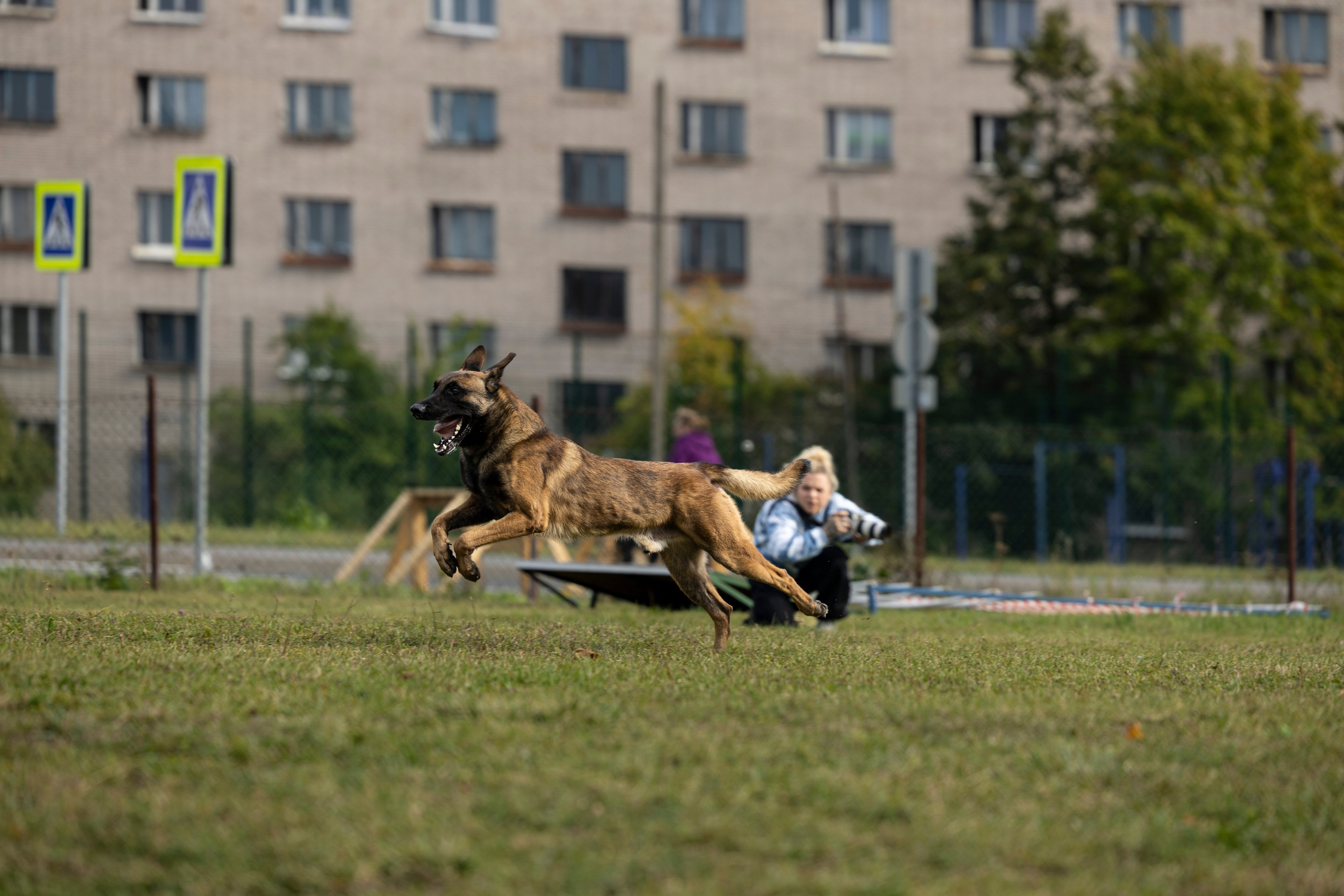 Испытания по Мондьорингу г. Пушкин. Фотограф-анималист Анна Маринич
