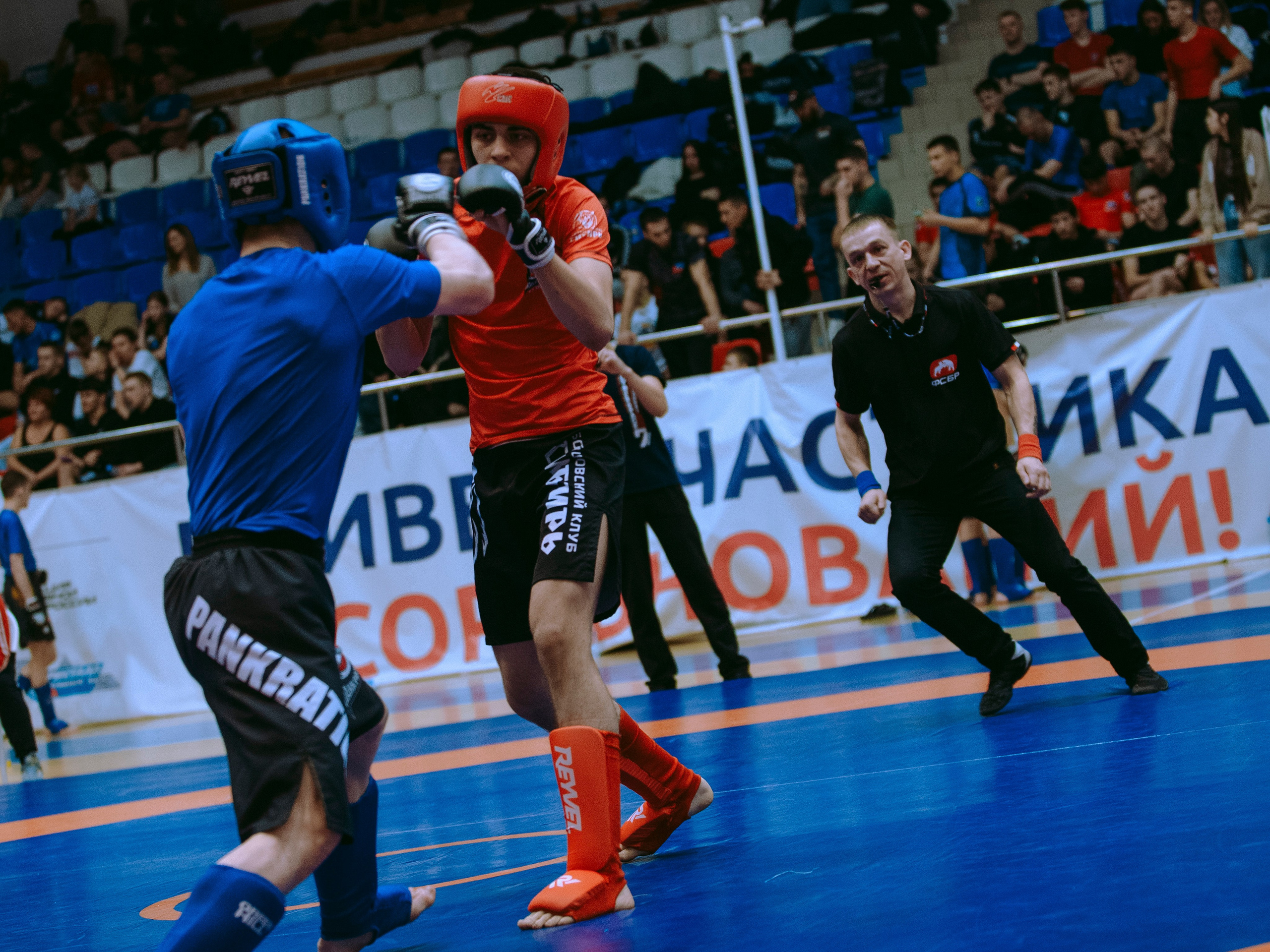 ПАНКРАТИОН | Чемпионат и первенство СФО | март `24. Портретный фотограф в Москве Дарья Цезария