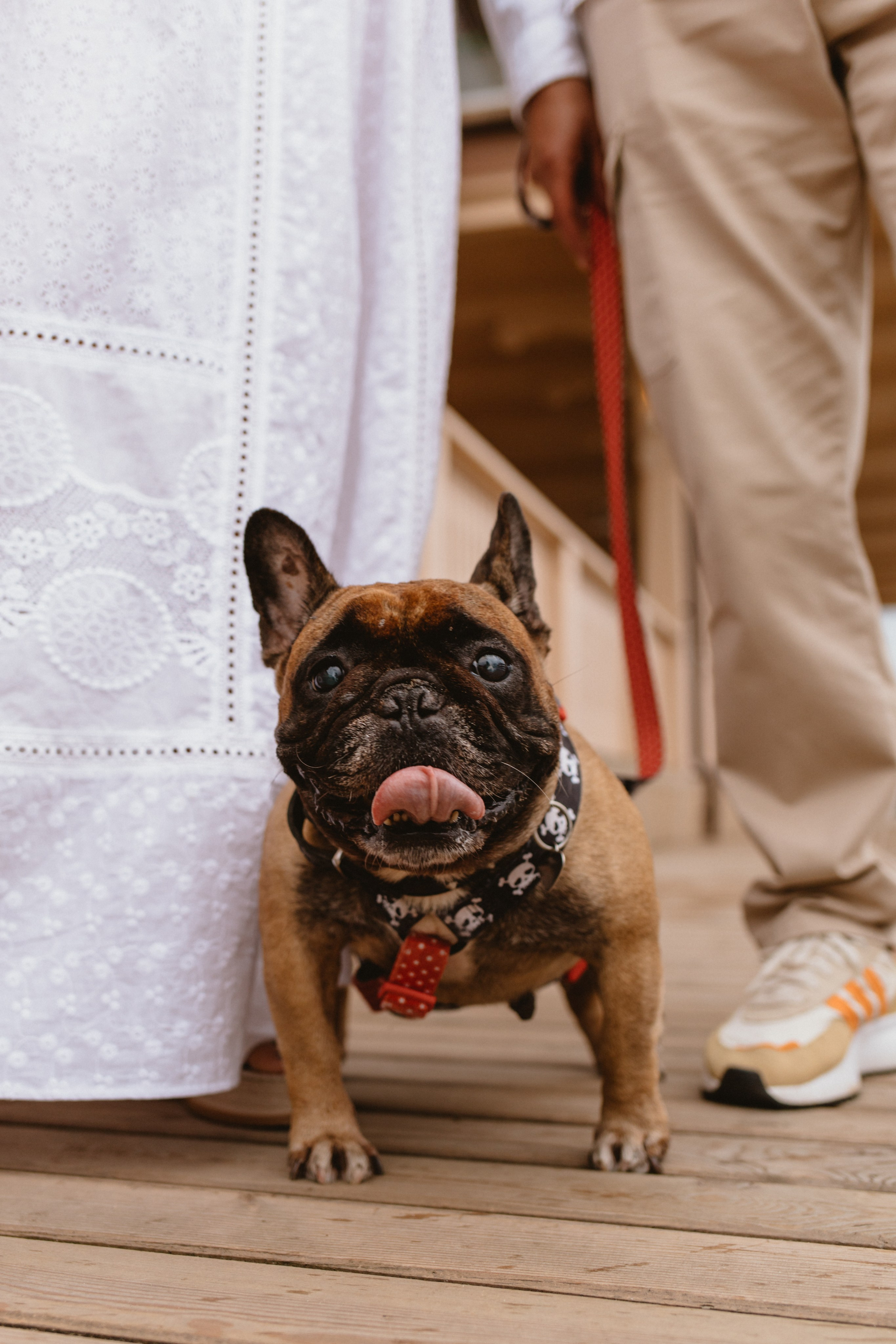 съёмка животных