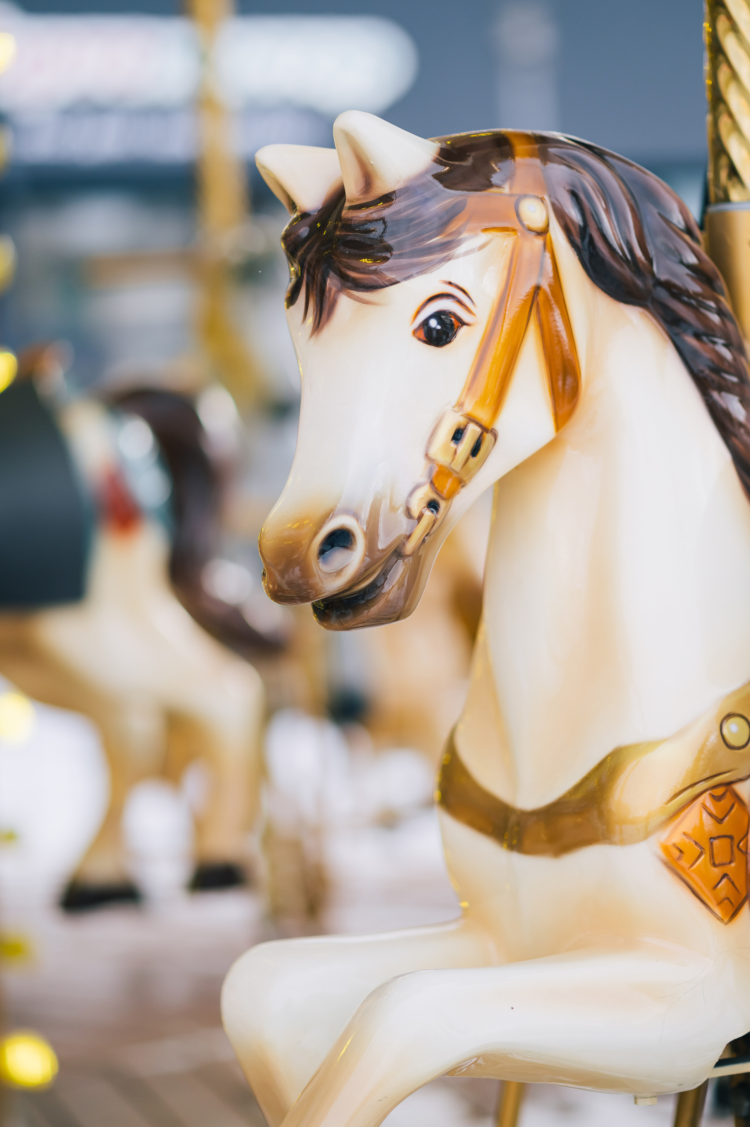 Рождественская съемка. Свадебный фотограф Екатерина Зайцева Краснодар