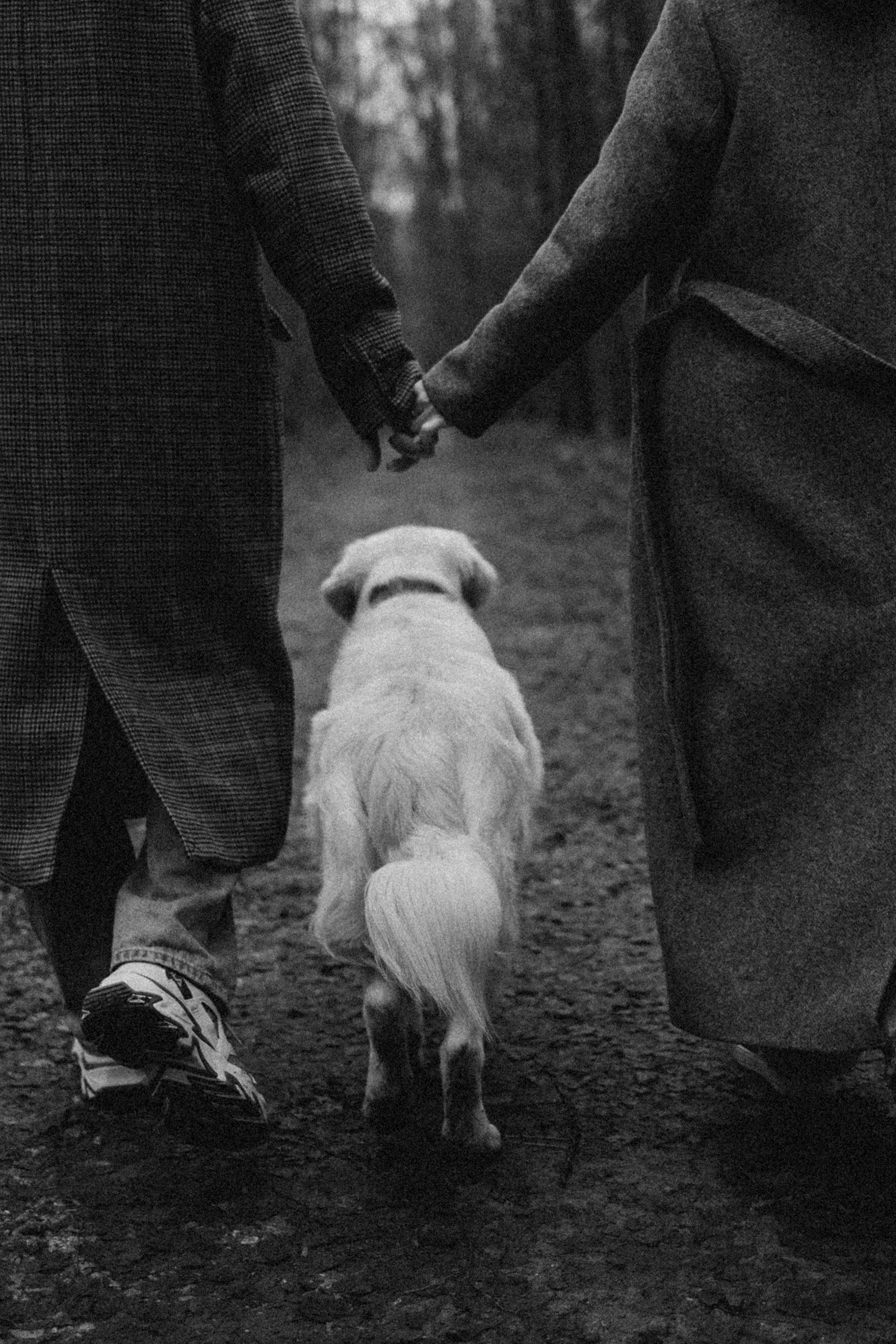 Лаки и его семья. Фотограф — Анималист | Санкт-Петербург