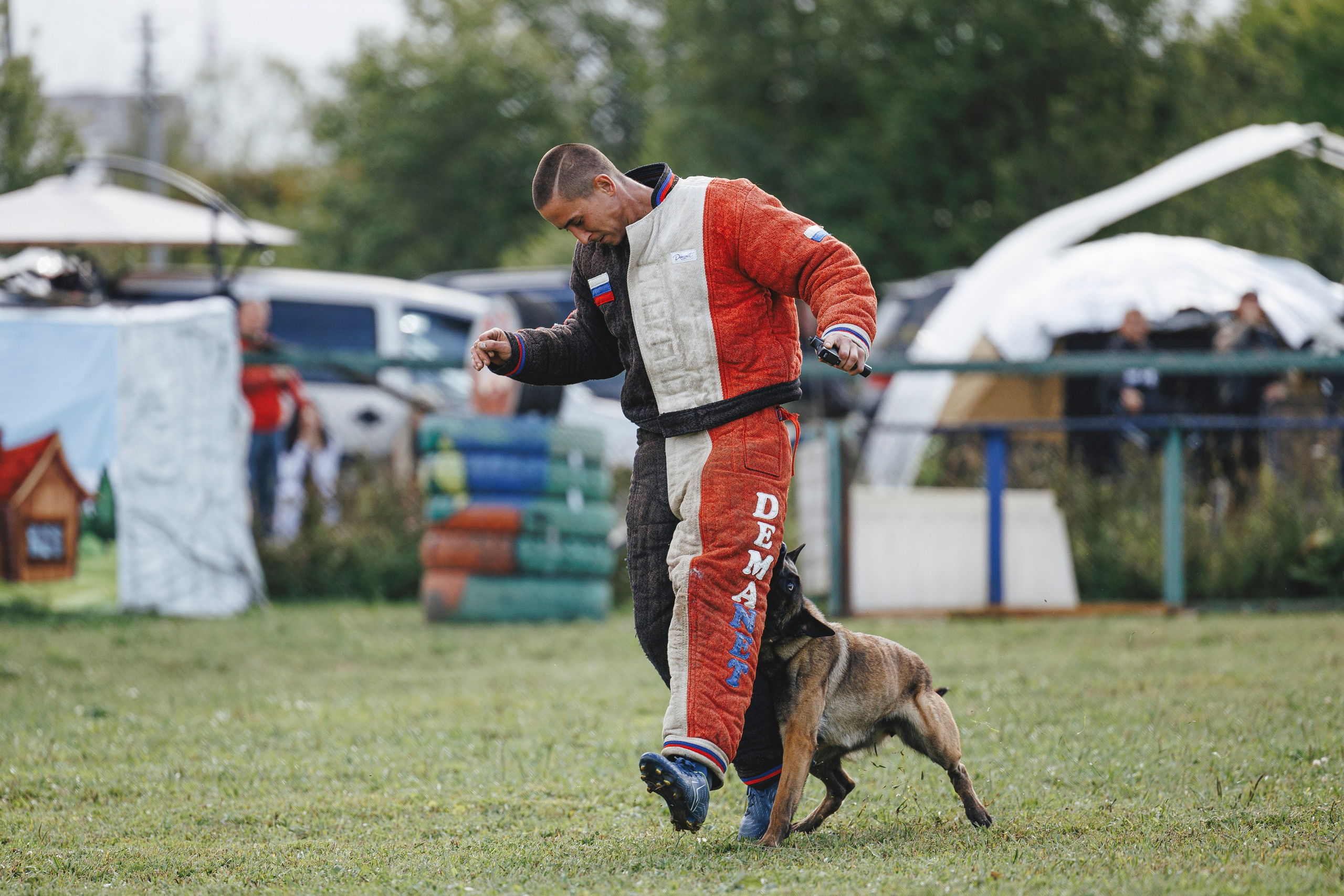 08.08.25-10.08.25 ЧР по мондьорингу г. Вологда. Фотограф-анималист Анна Маринич