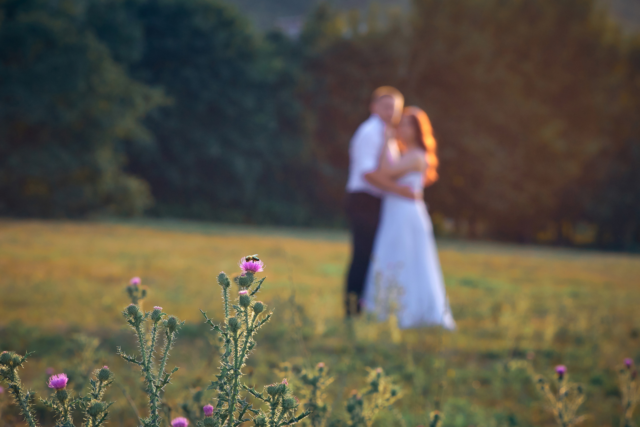 Максим и Ульяна. Свадебный фотограф в Тольятти Жигулевске и Самаре Пономарев Евгений