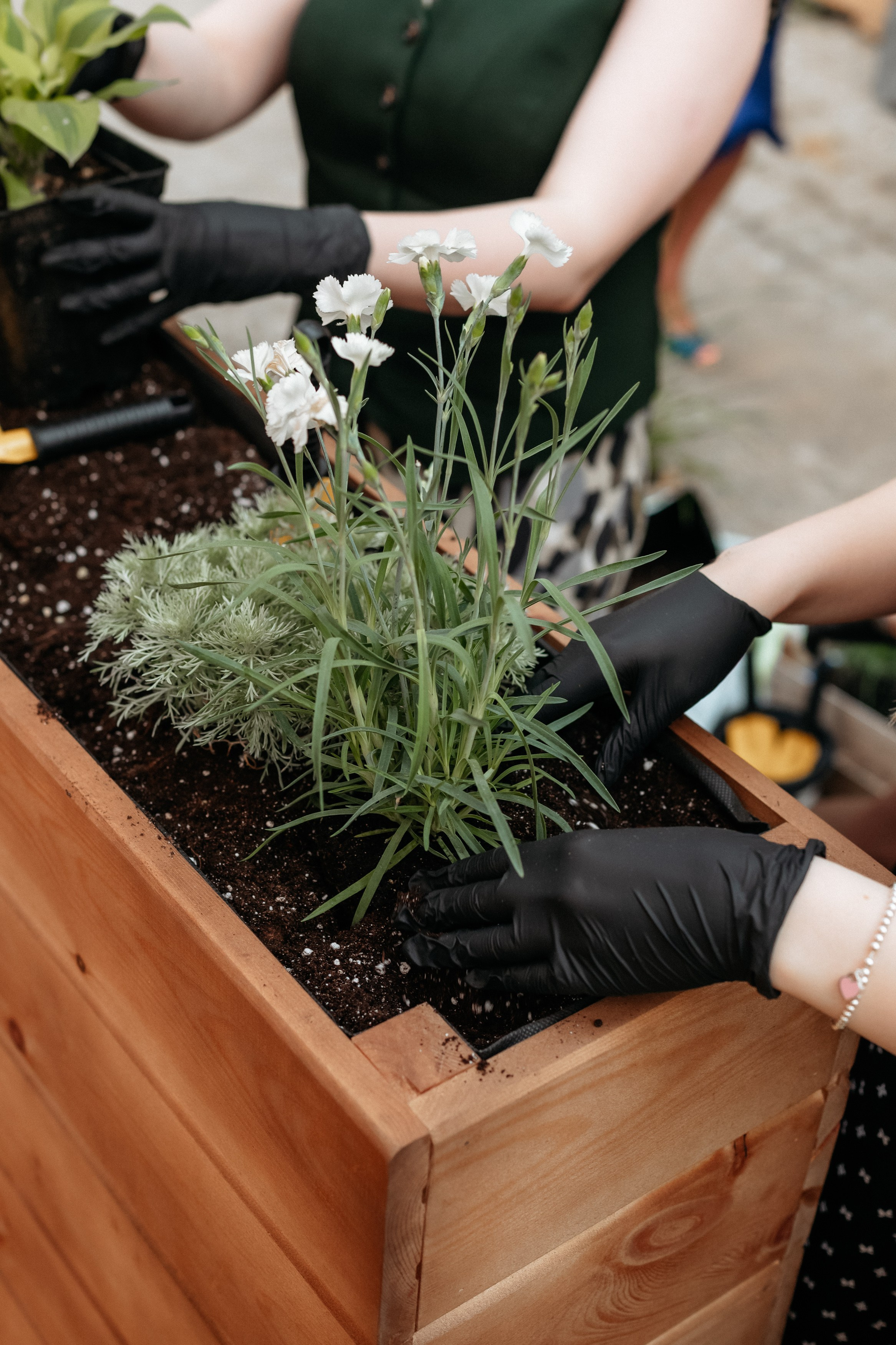 РЕСНОТА — ОТКРЫТИЕ ТЕРРАСЫ. СВОИ. ФОТООТЧЕТЫ-СОБЫТИЯ-МЕСТА