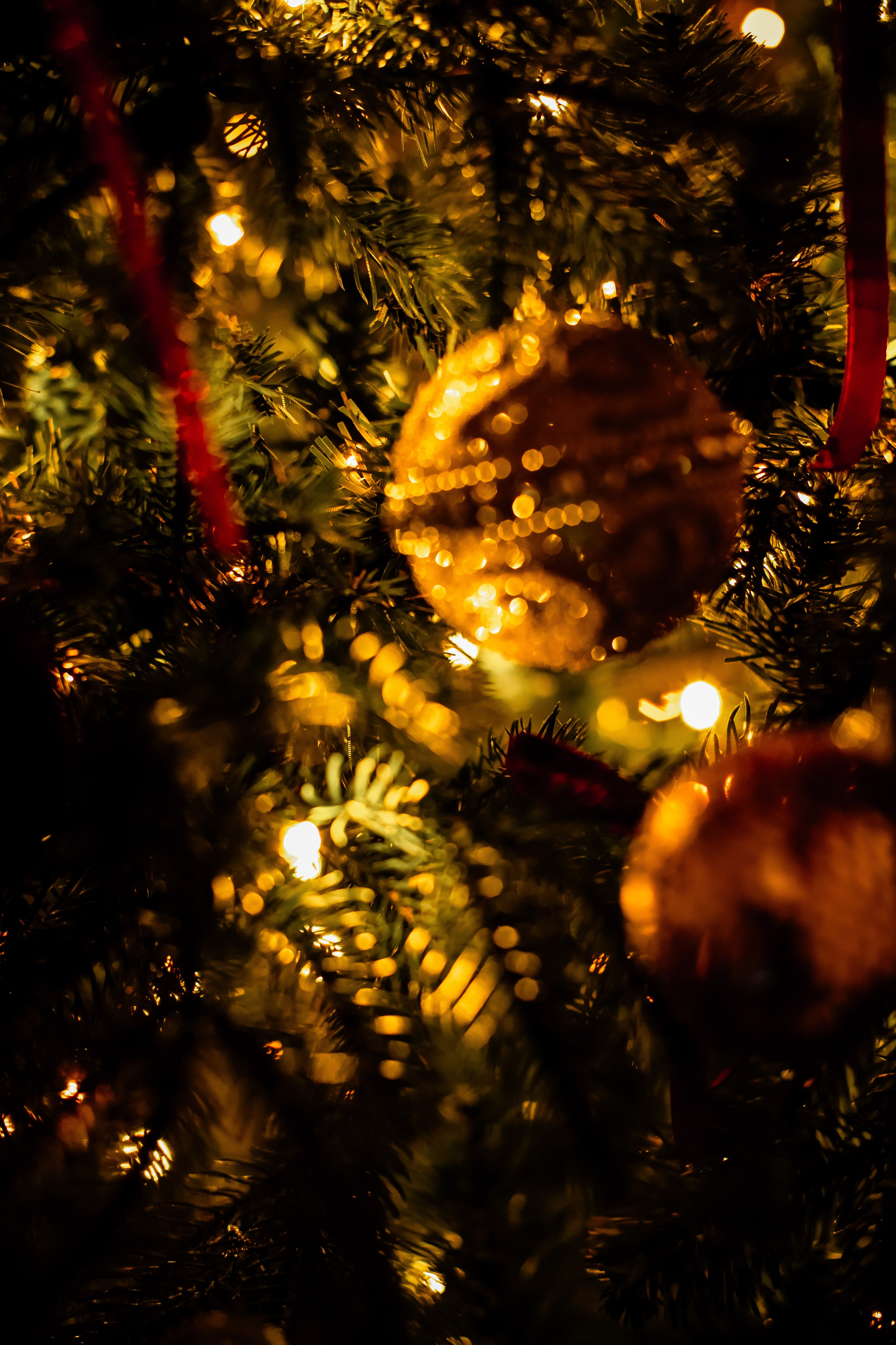 Новый год. Https://malovafoto.ru