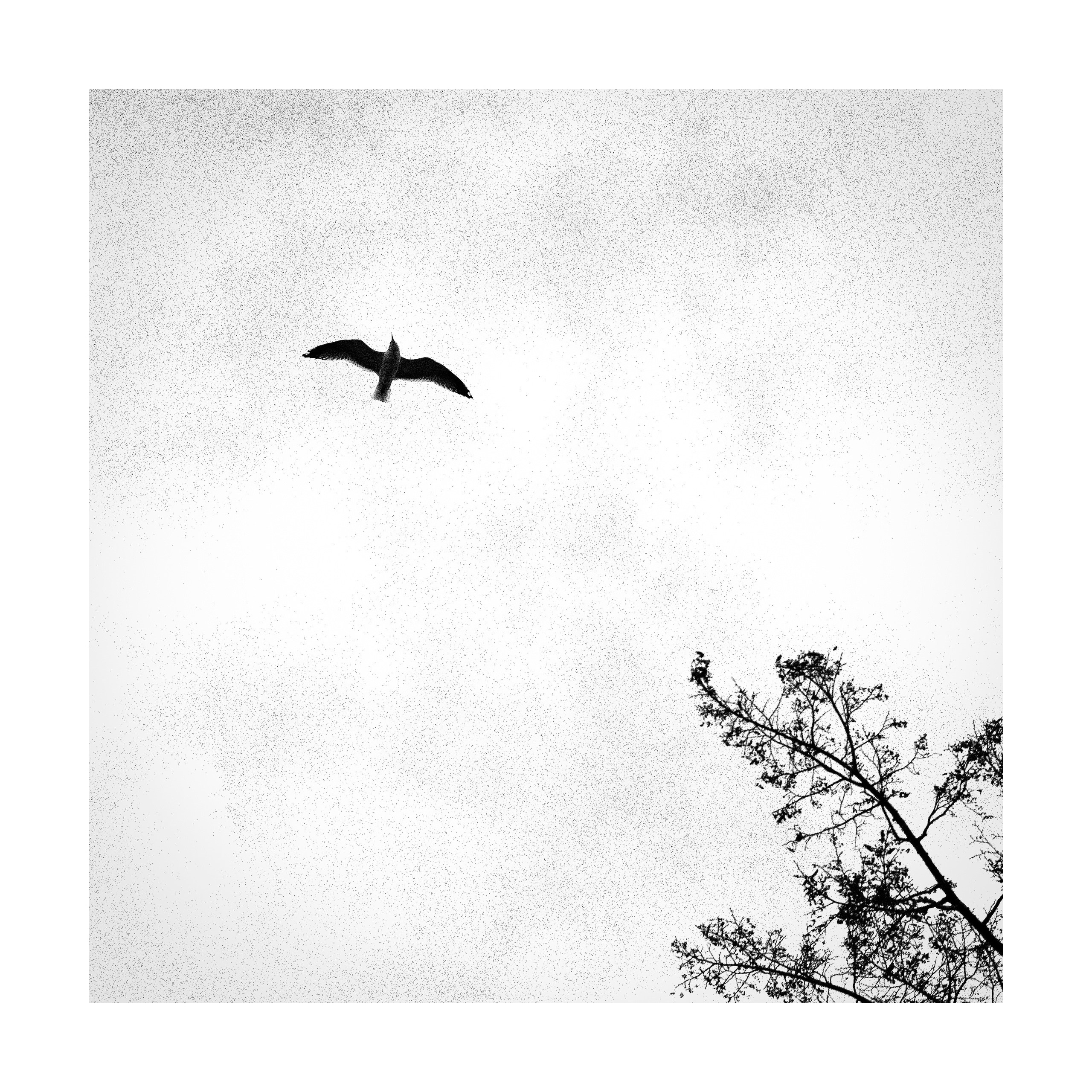 Dark arts. Уральский фотограф