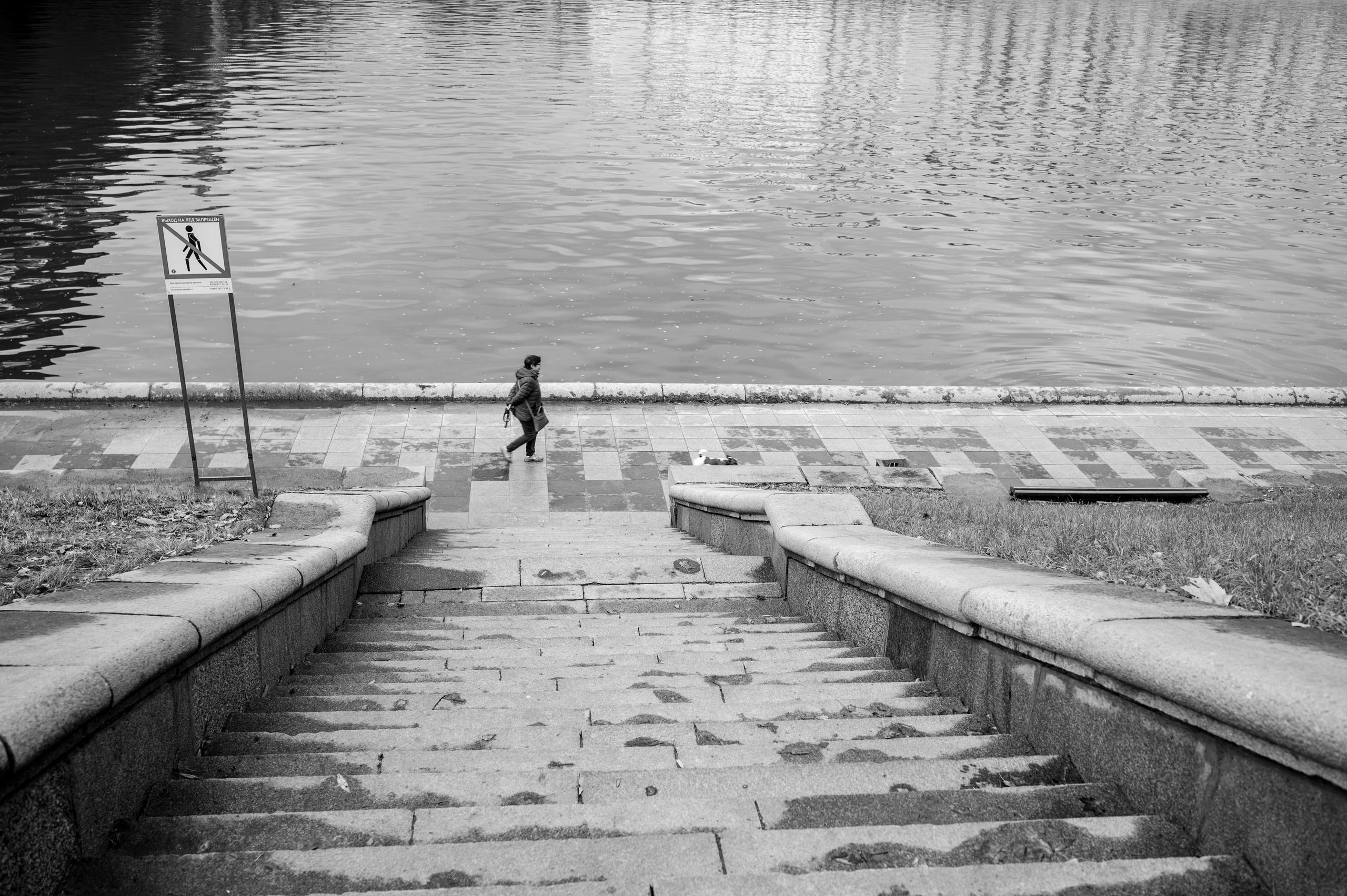 20231031 Нескучный сад. Дмитрий Ремизов. Фотография, как хобби